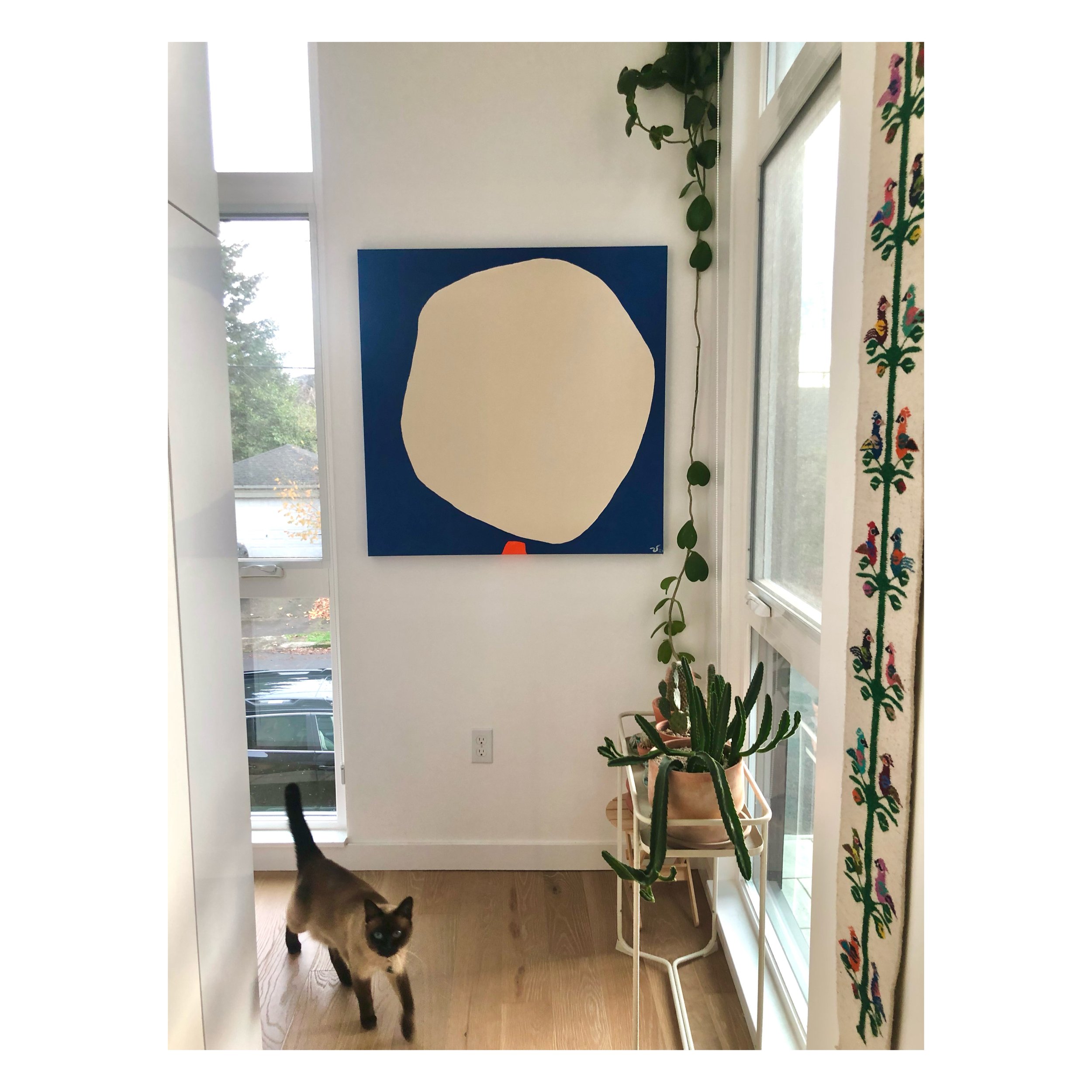 Whitagram-Image - 2021-11-30T155301.526.JPG