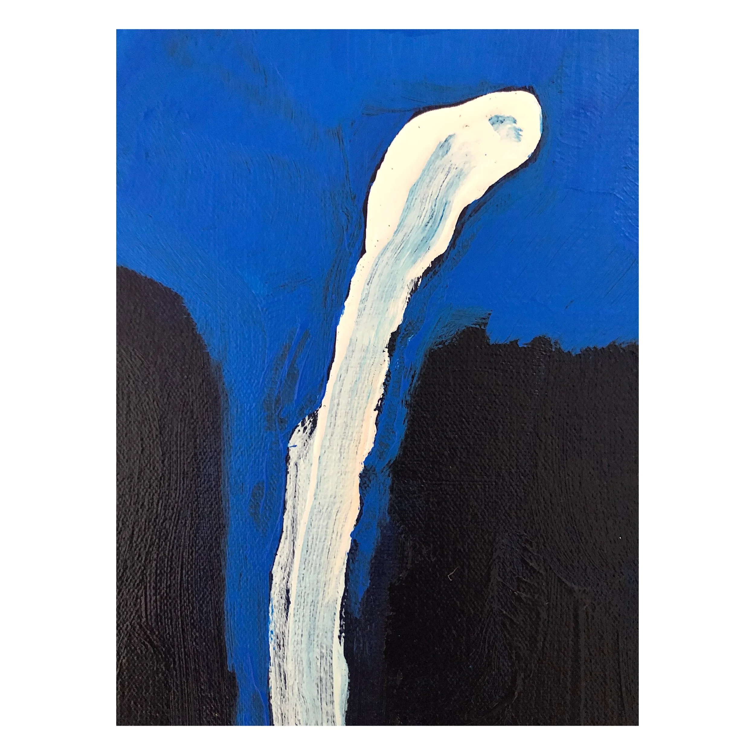 Whitagram-Image - 2021-12-19T123919.168.JPG