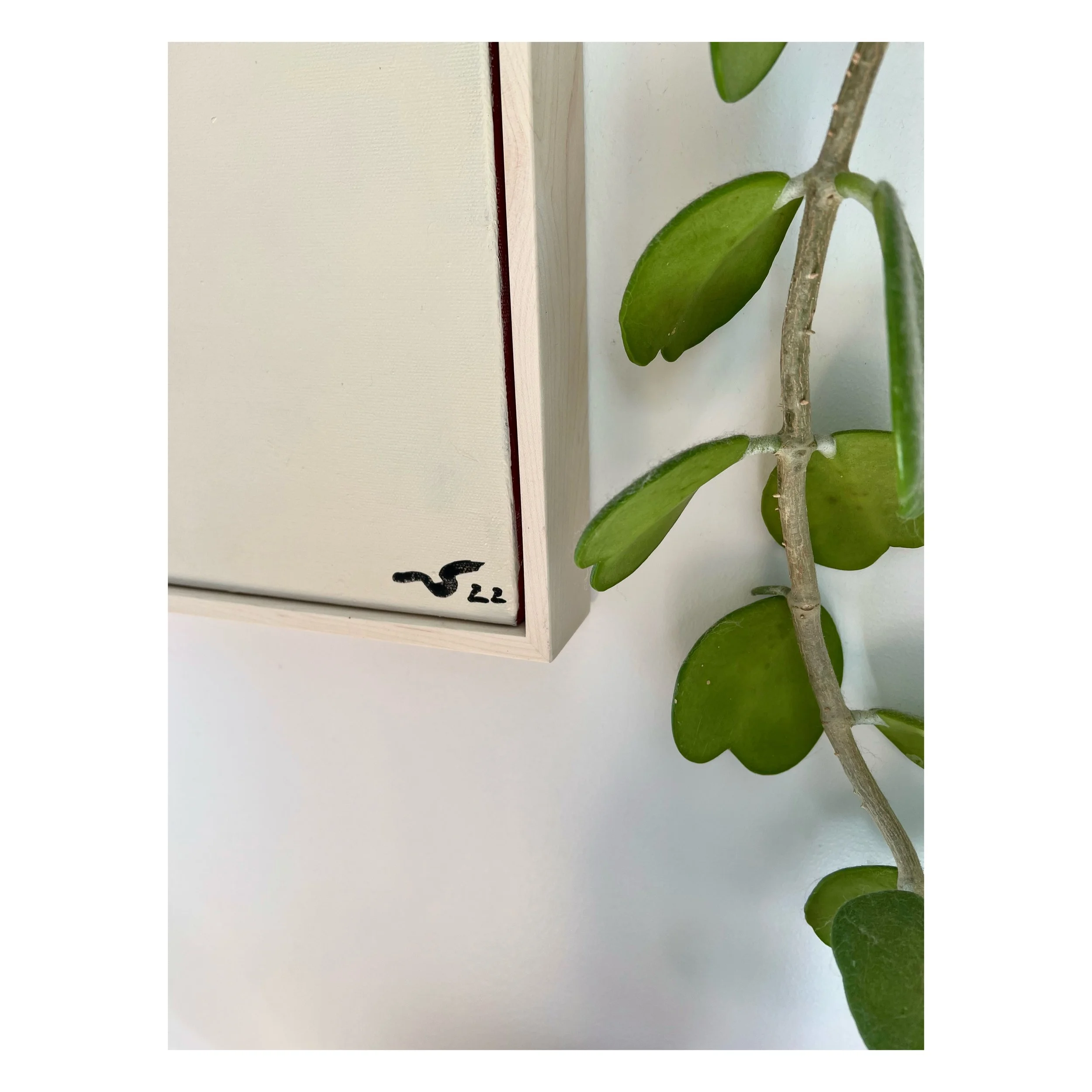 Whitagram-Image - 2022-07-10T162316.487.JPG