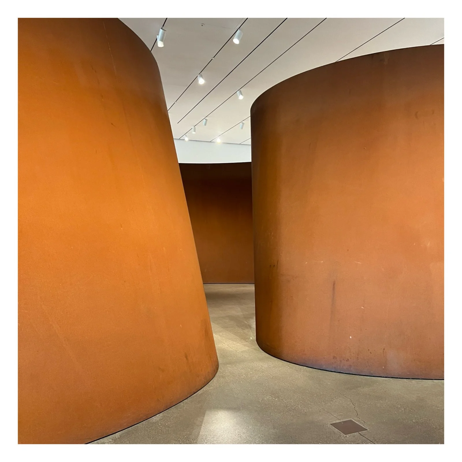 Whitagram-Image - 2024-07-28T165507.200.JPG