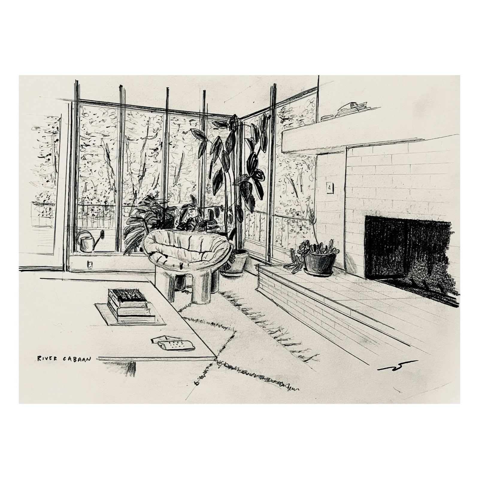 Whitagram-Image - 2026-02-28T104836.267.JPG