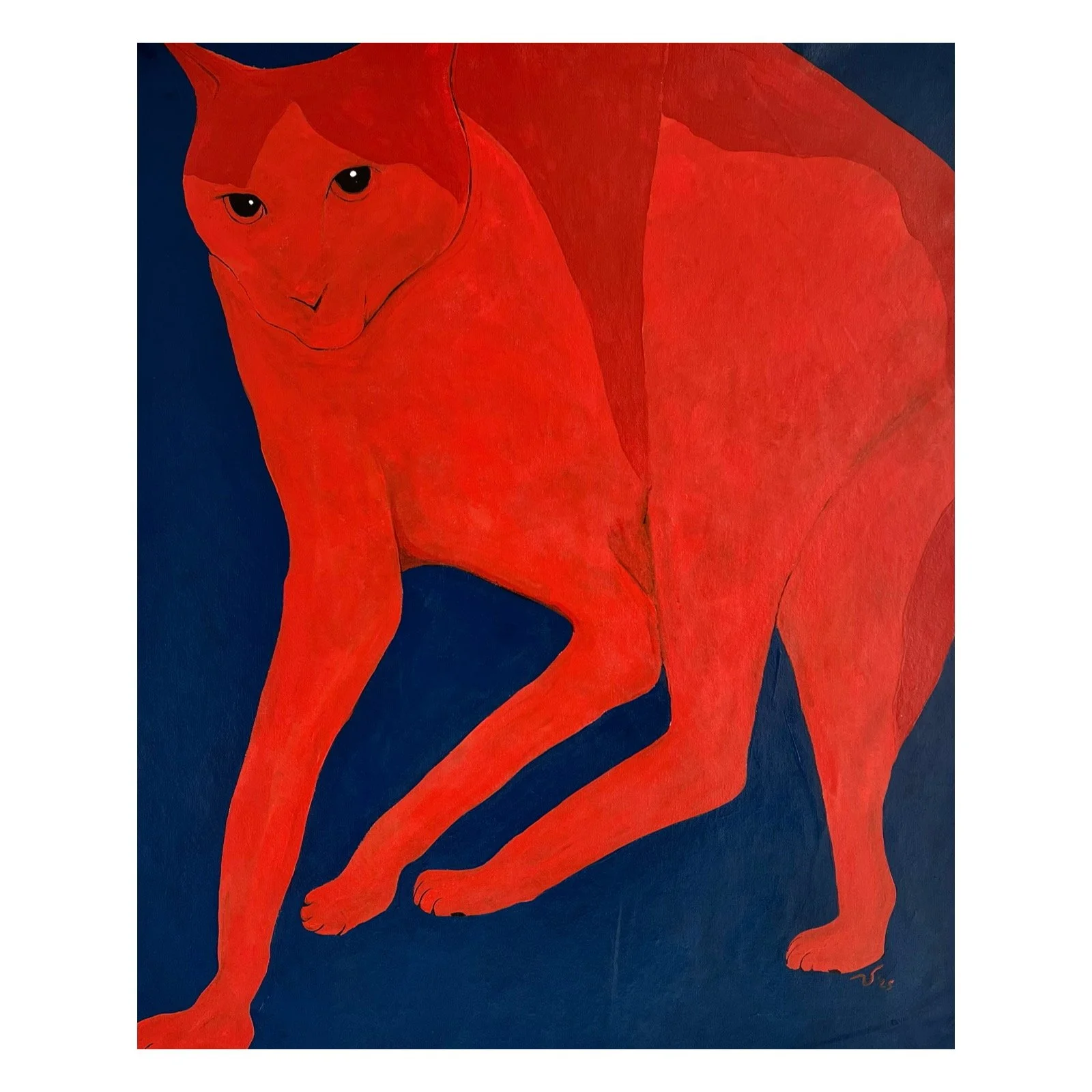 Whitagram-Image - 2025-12-07T142613.422.JPG