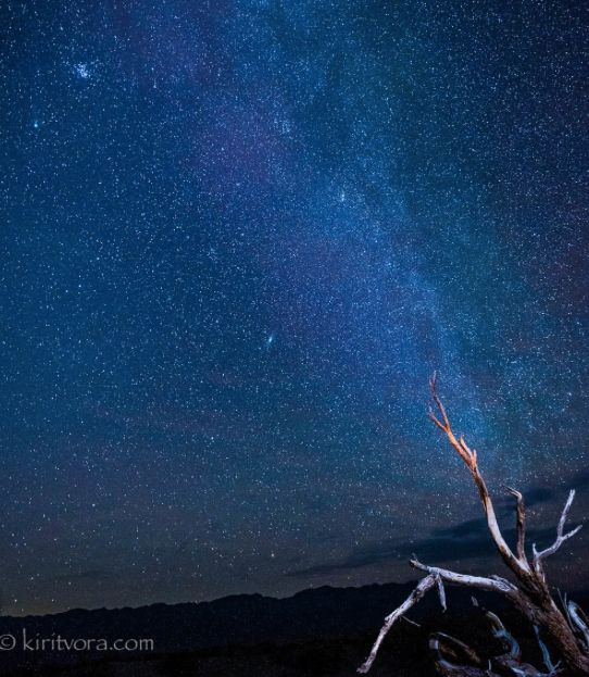 The Power of Stillness