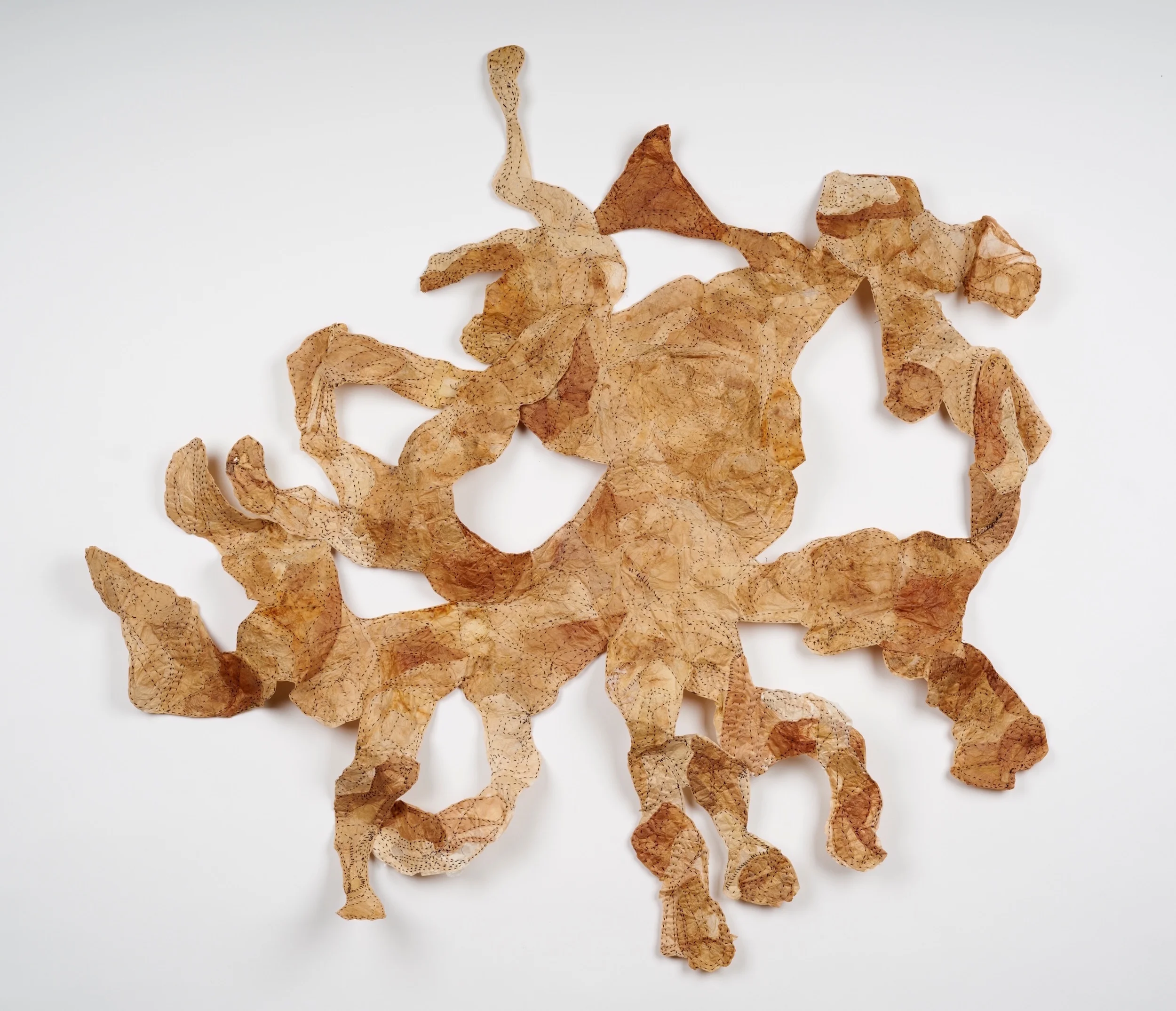 Welter Framed: 41 x 32 x 2 inches Teabag paper, thread