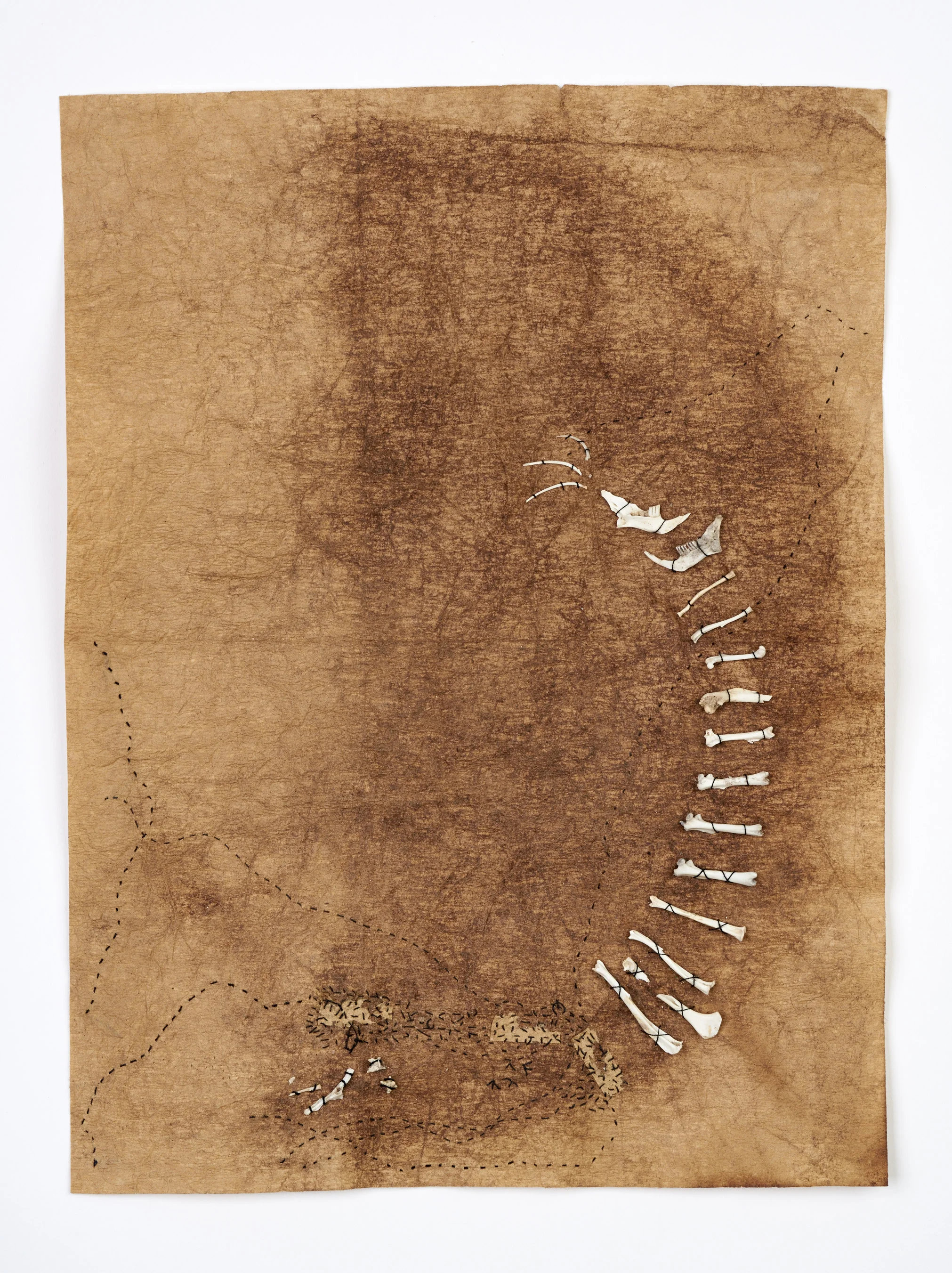 Offering Framed: 14 x 17 inches Coffee filter, mouse bones, thread