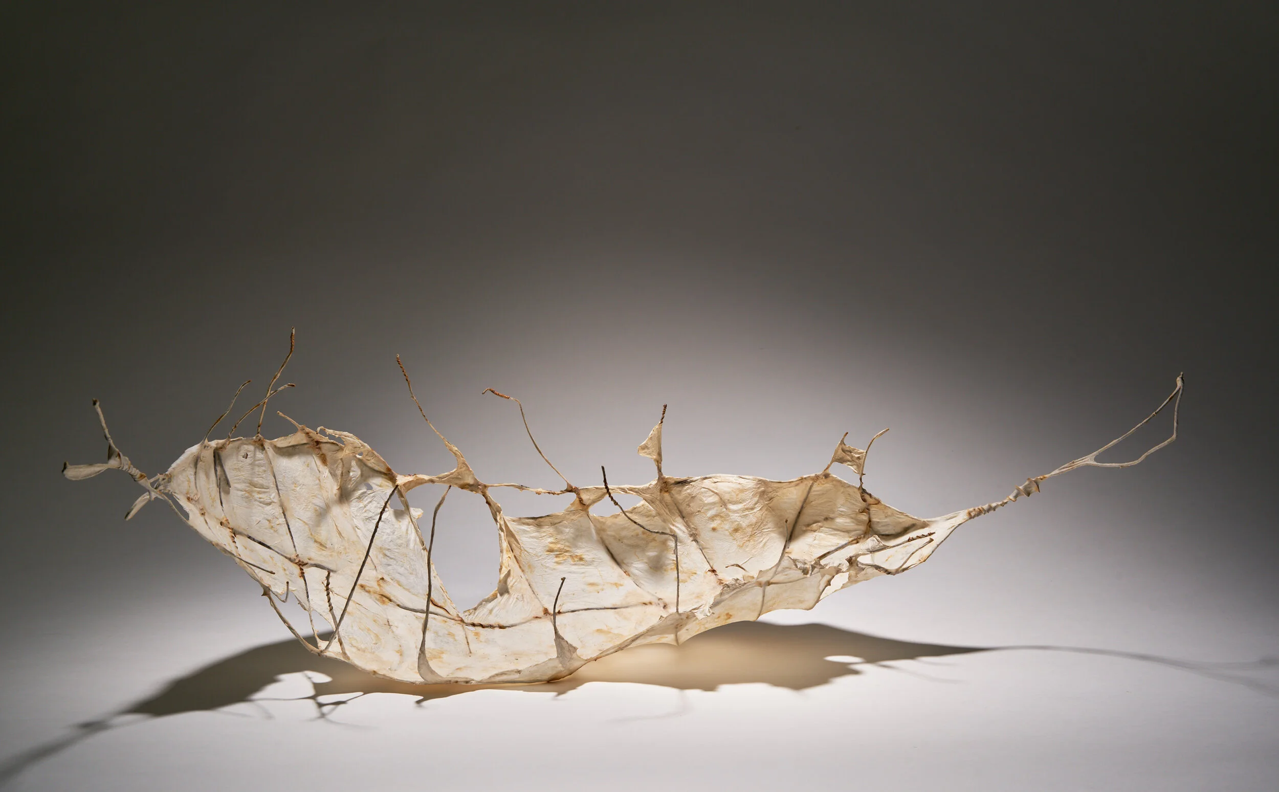 Deborah Benioff Friedman