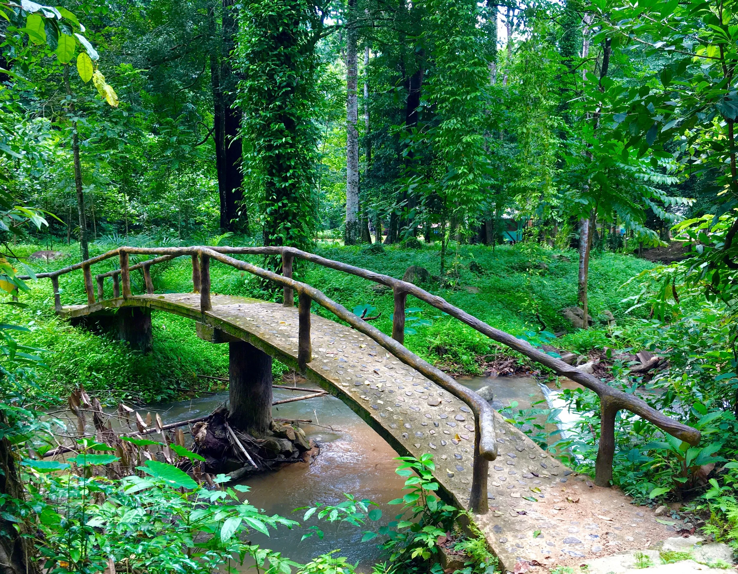 Khao Phanom Bencha National Park
