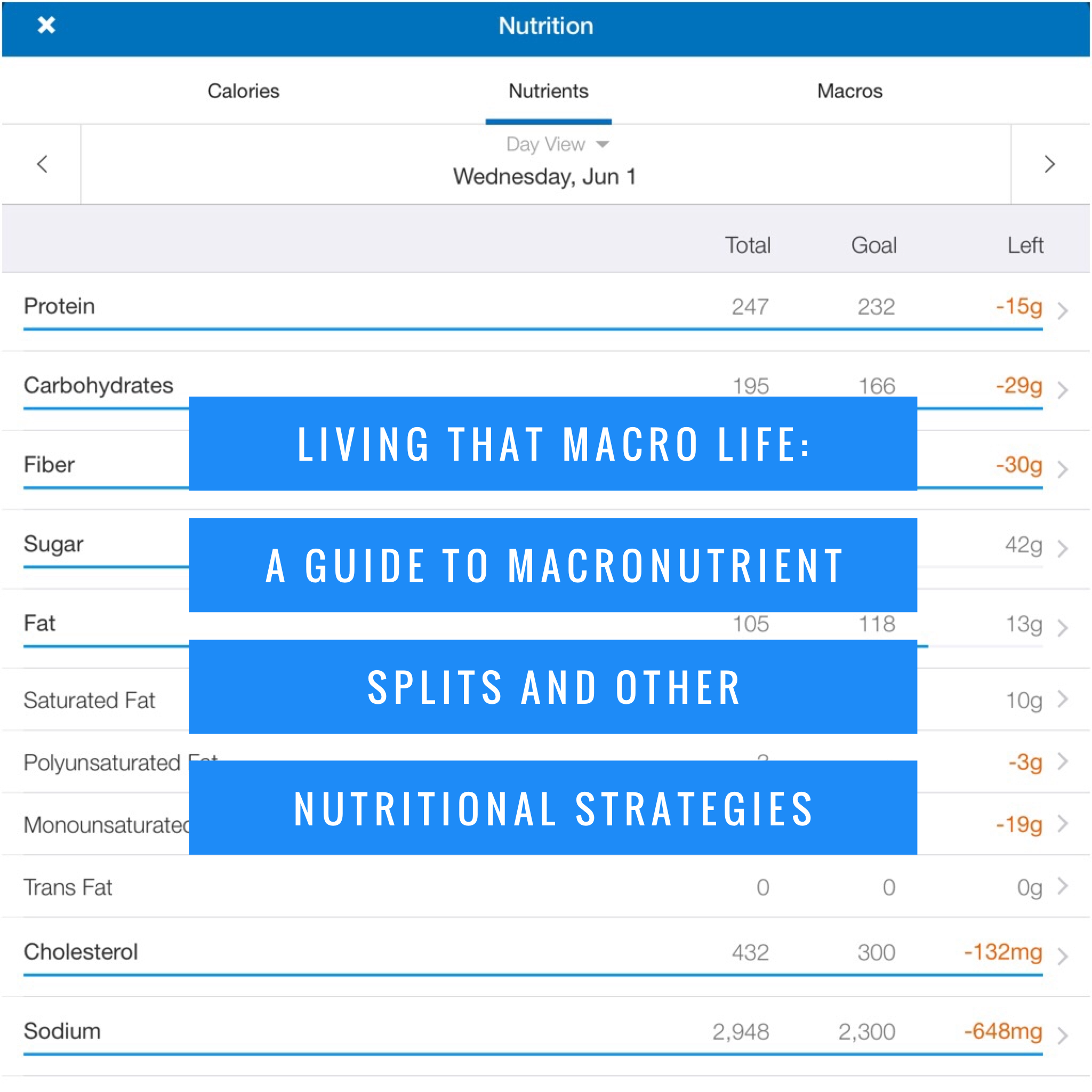 Living That Macro Life: A Guide to Macronutrient Splits and Other Nutritional Strategies That Work