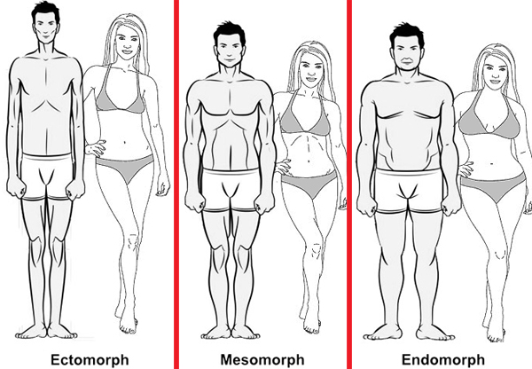 Understanding the 3 Body Types Can Produce Better Health Results