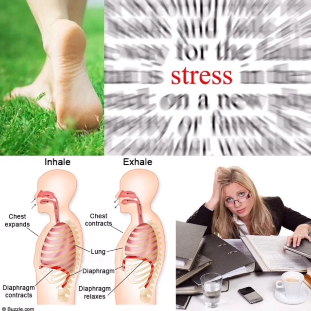 10 Simple Ways to Reduce Chronic Stress for Improved Fitness