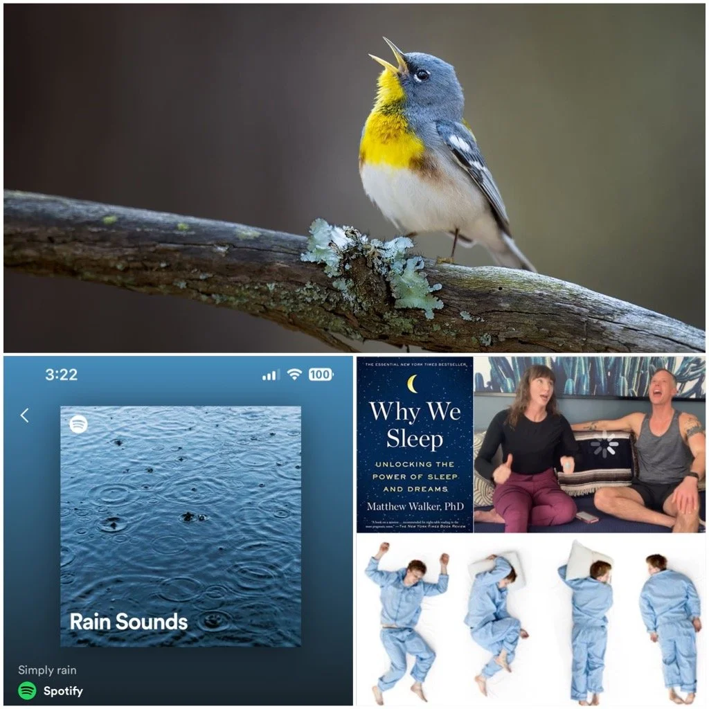 Why "Natural Sounds" Like Birds and Rain Calm Us Down