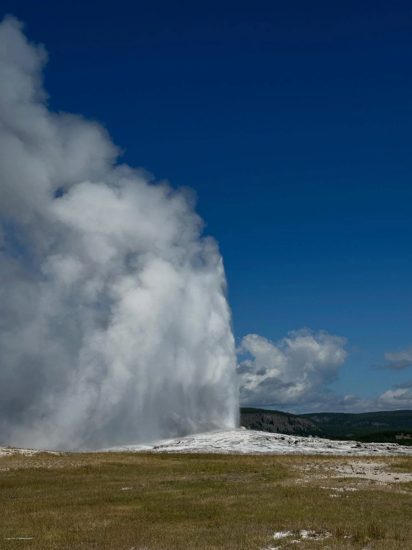 Photos can&rsquo;t even come close to capturing how magical Yellowstone and the Grand Tetons are. So many beautiful views, hikes and critters including bald eagles, bears, moose, pica, elk and of course bison! Highly recommend van adventures from @mo