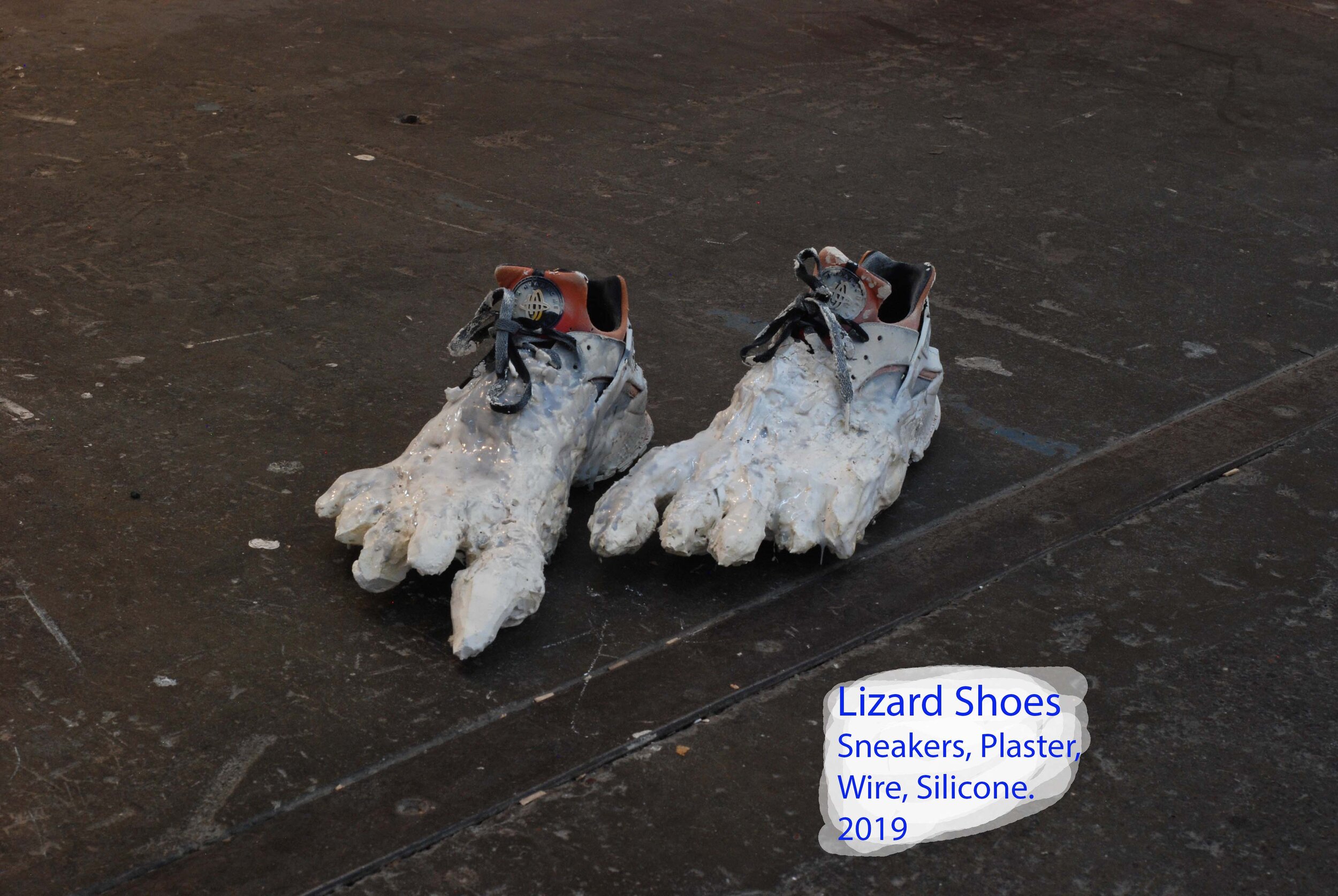 Lizard_shoes.jpg