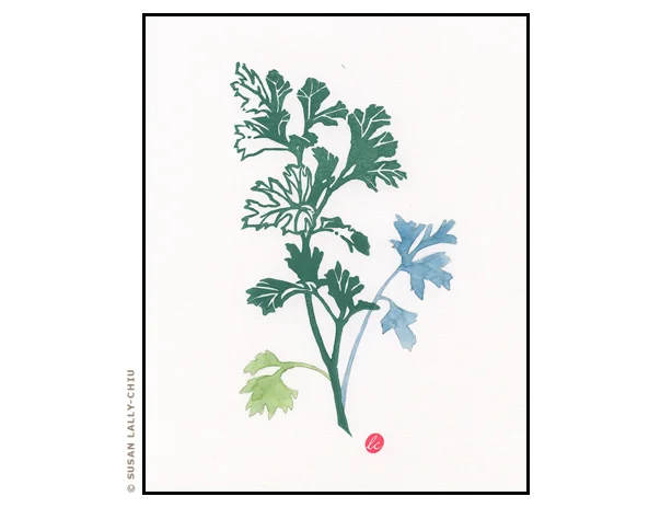 Parsley03_HappyTreePress.jpg
