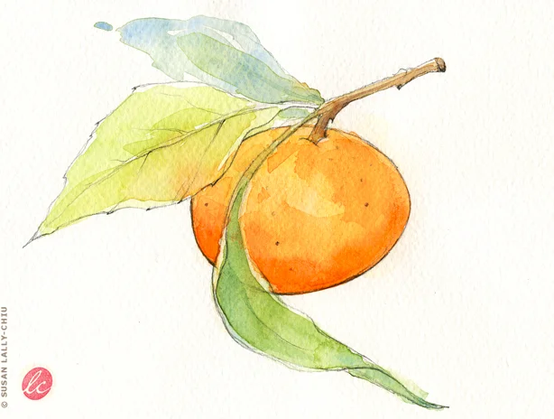 Tangerine01_HappyTreePress.jpg