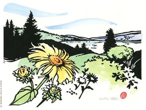OverLakeWashington01_LallyChiu.jpg
