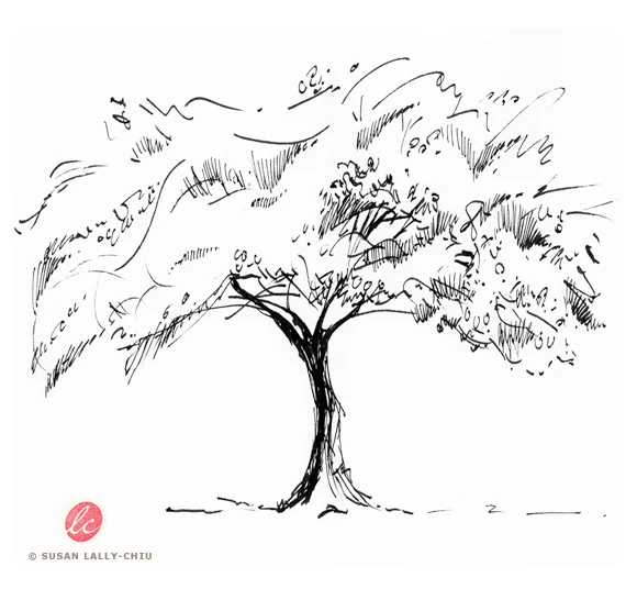 MapleTree_PenInk_LallyChiu_HappyTreePress.jpg