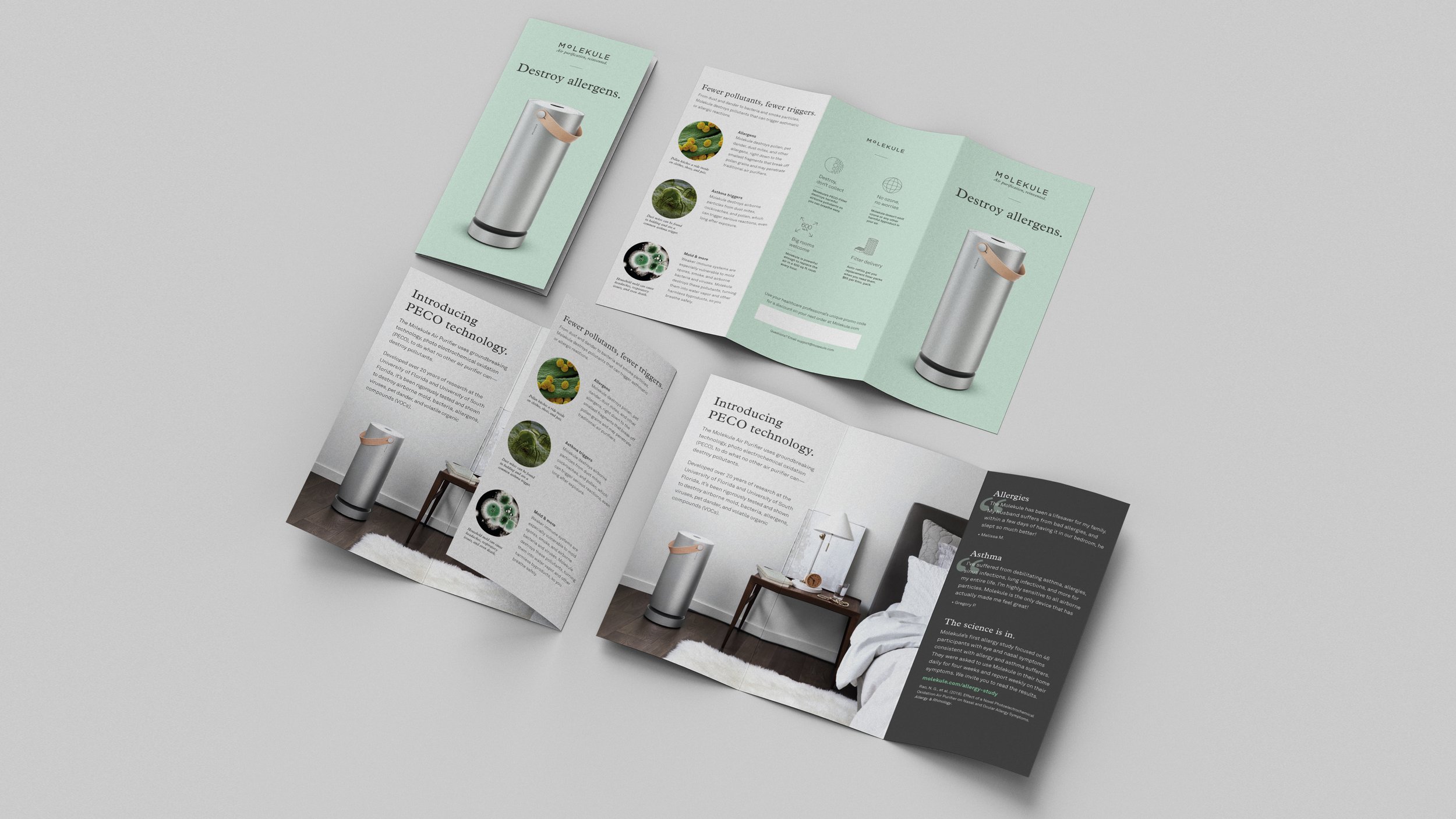 Mo_Brochure_Mockup_6.jpg