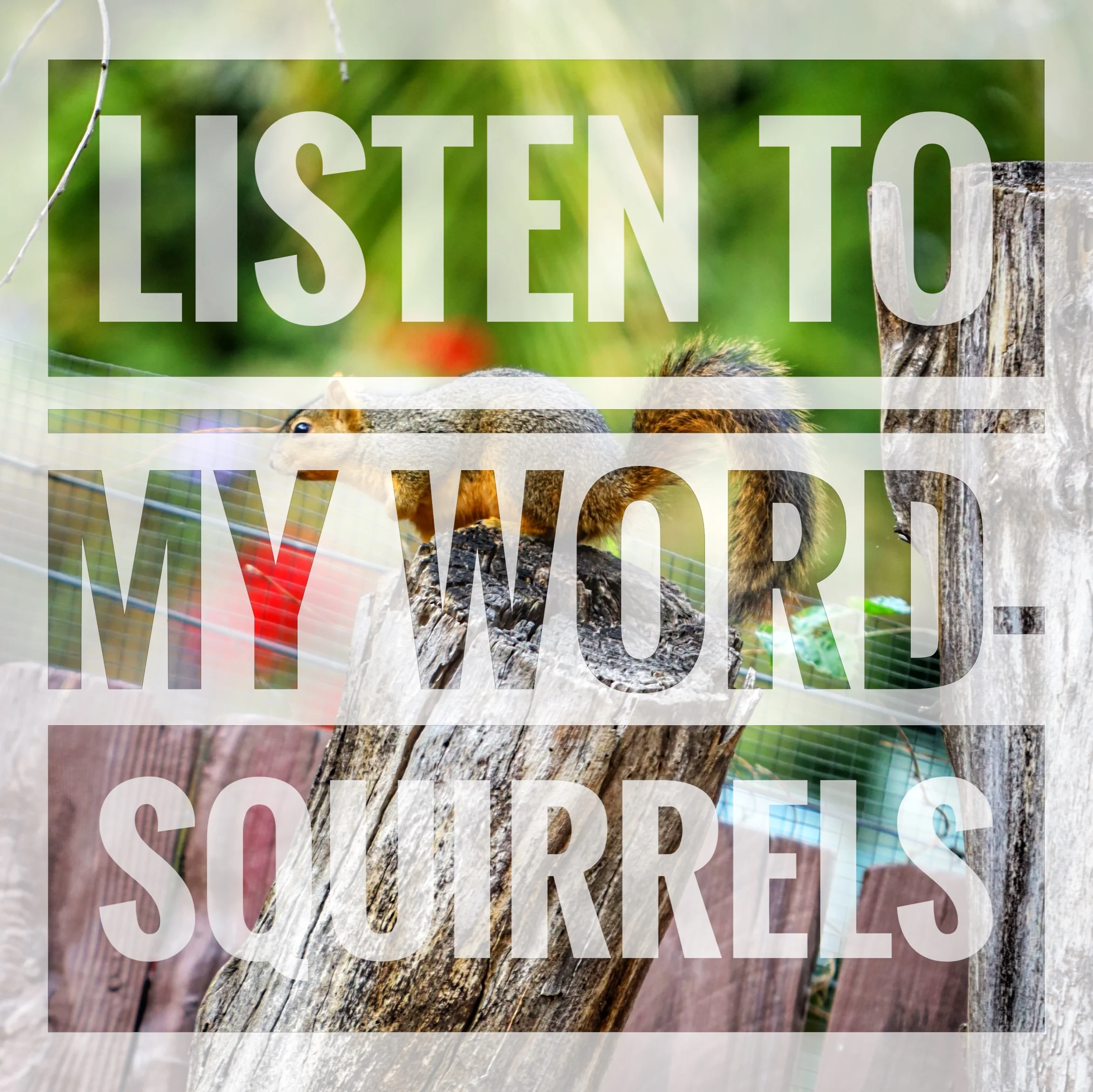 15- Listen to my word-squirrels