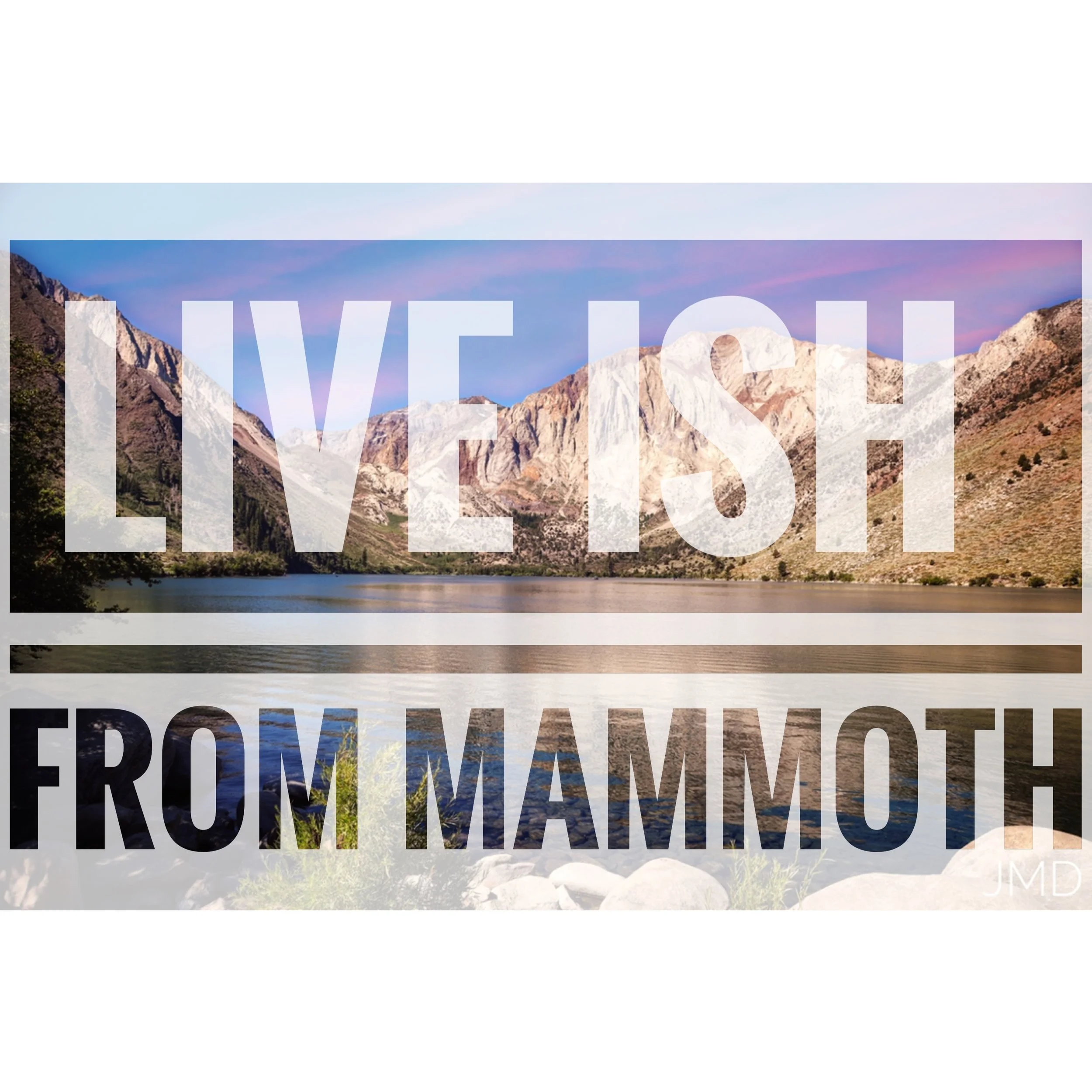 17- "Live" from the Mountains (Bye Bye Beardy)