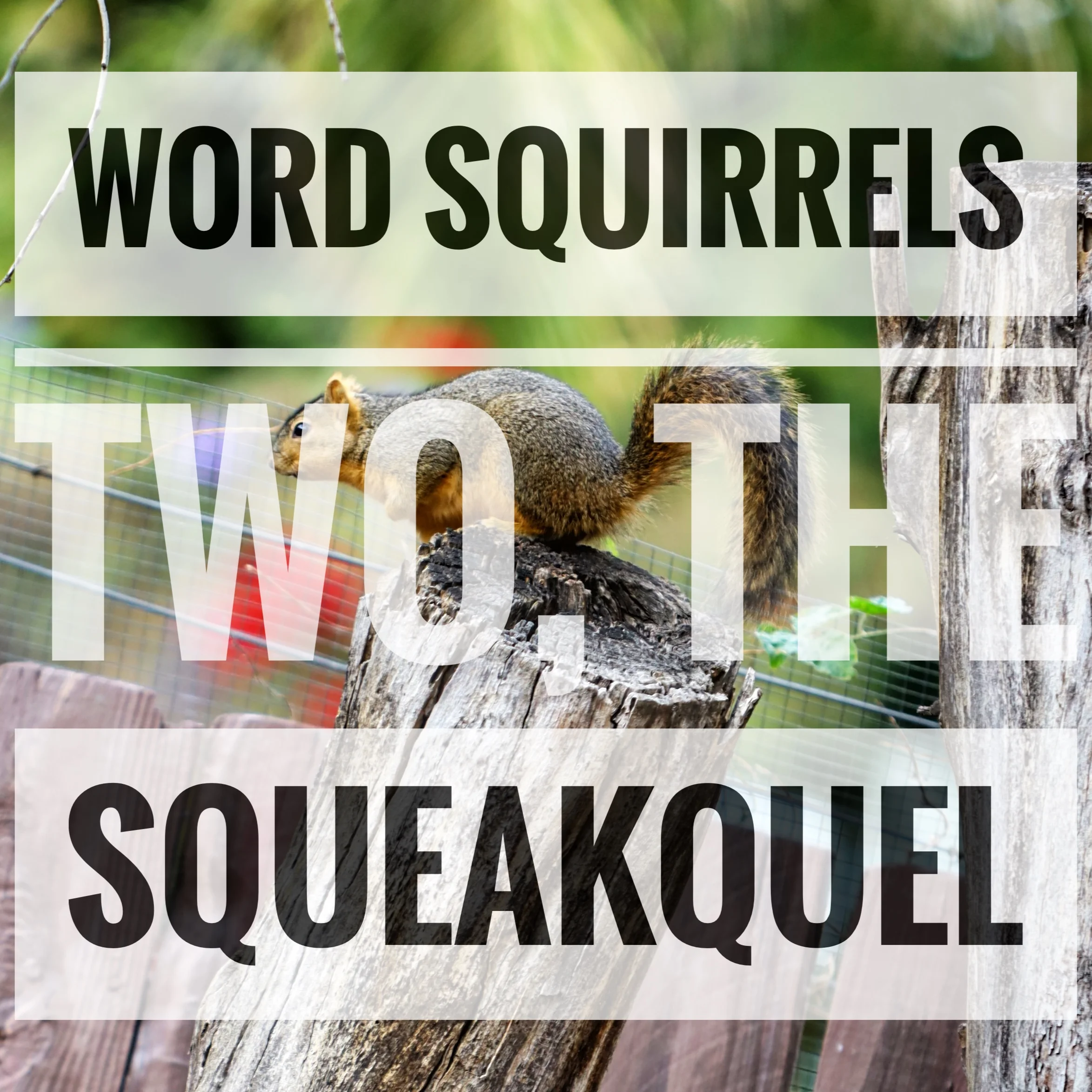 21- Word Squirrels TWO, The Squeakquel
