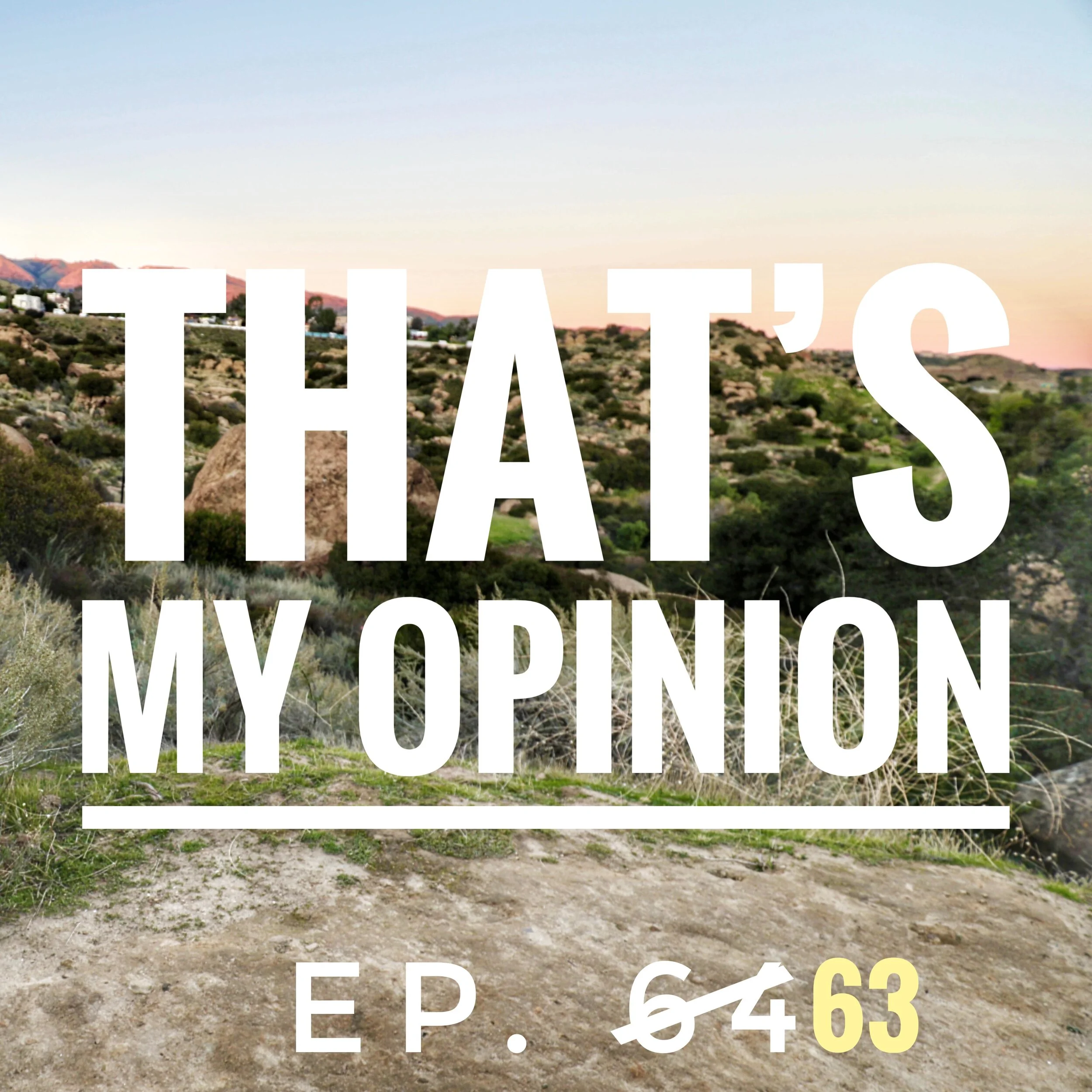 63- That's My Opinion