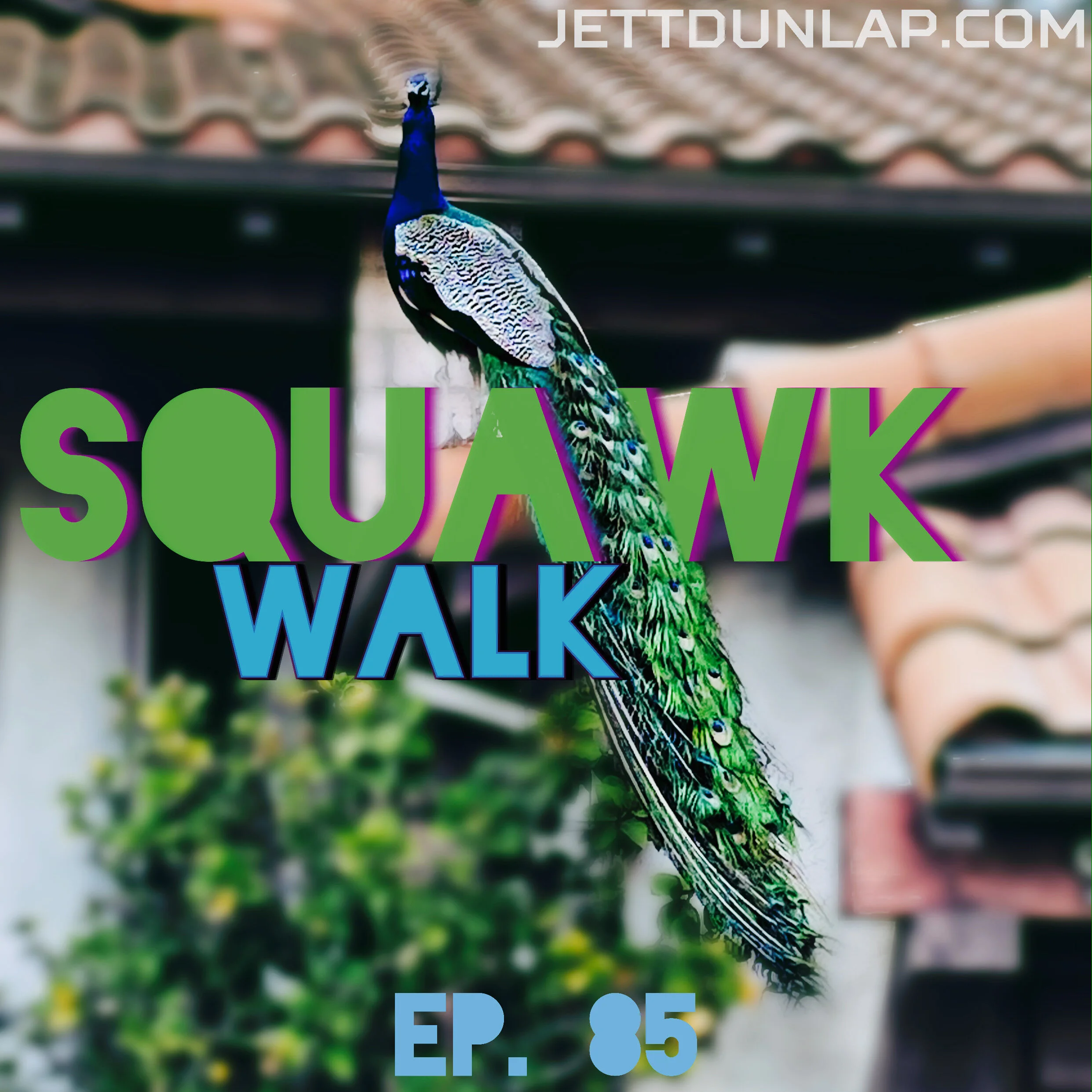 85- Squawk Walk 