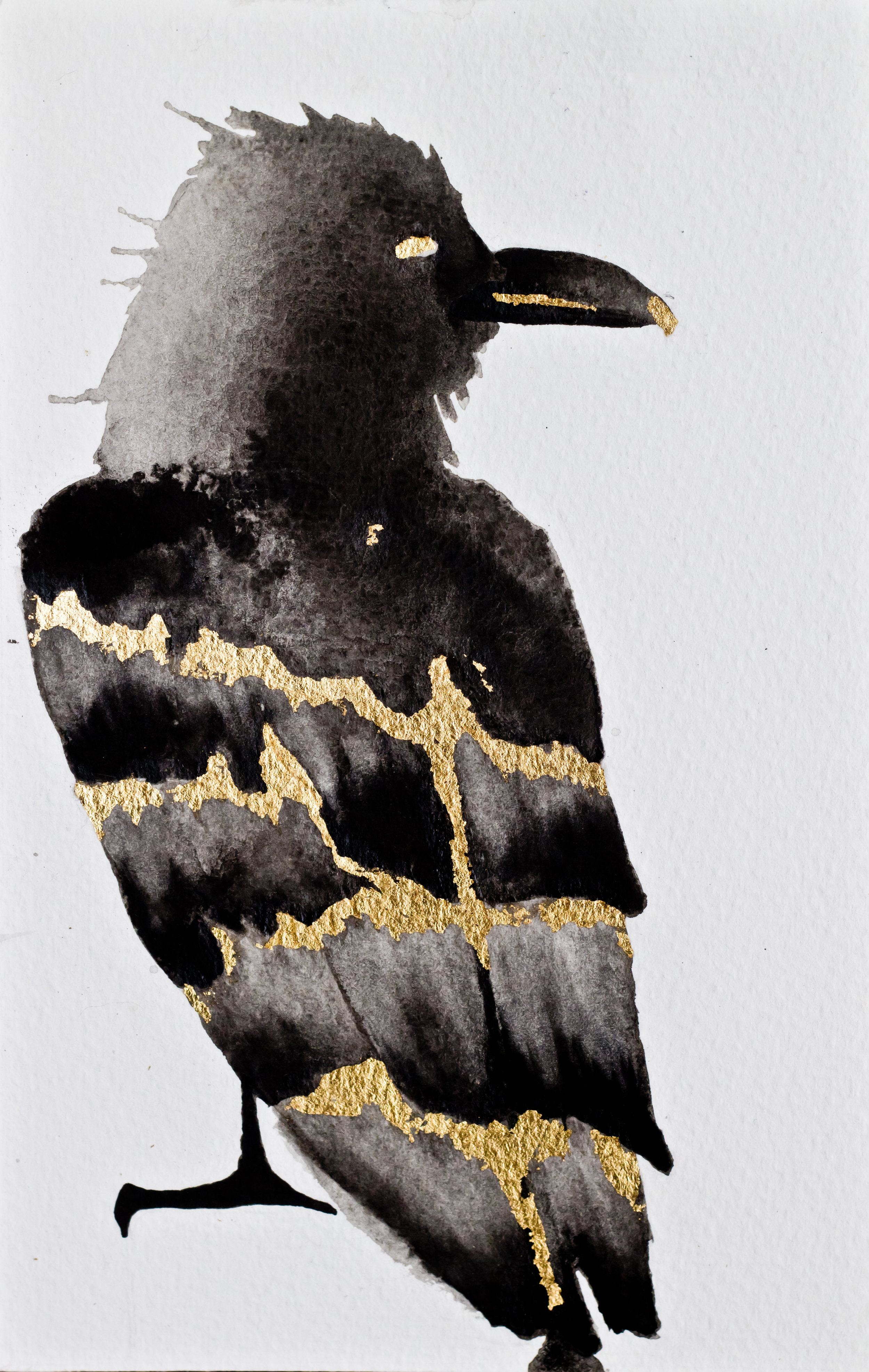 Crow spirit started showing up right before my "resurrection" phase. If you aren't familiar with animal totems, Google "crow totem meaning". Fun stuff.