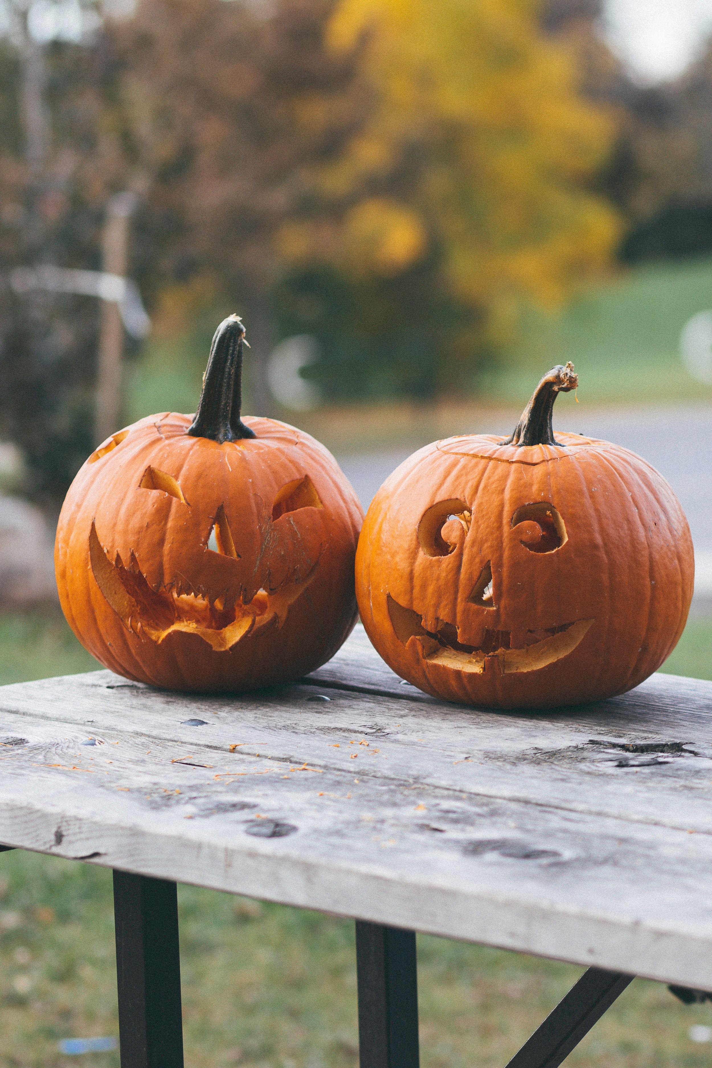 Pumpkins.jpeg