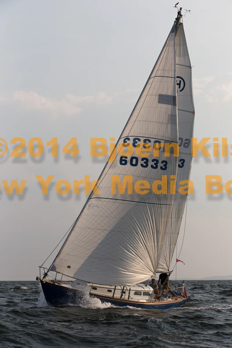 2014_ALIR_BjoernKils-4176.jpg