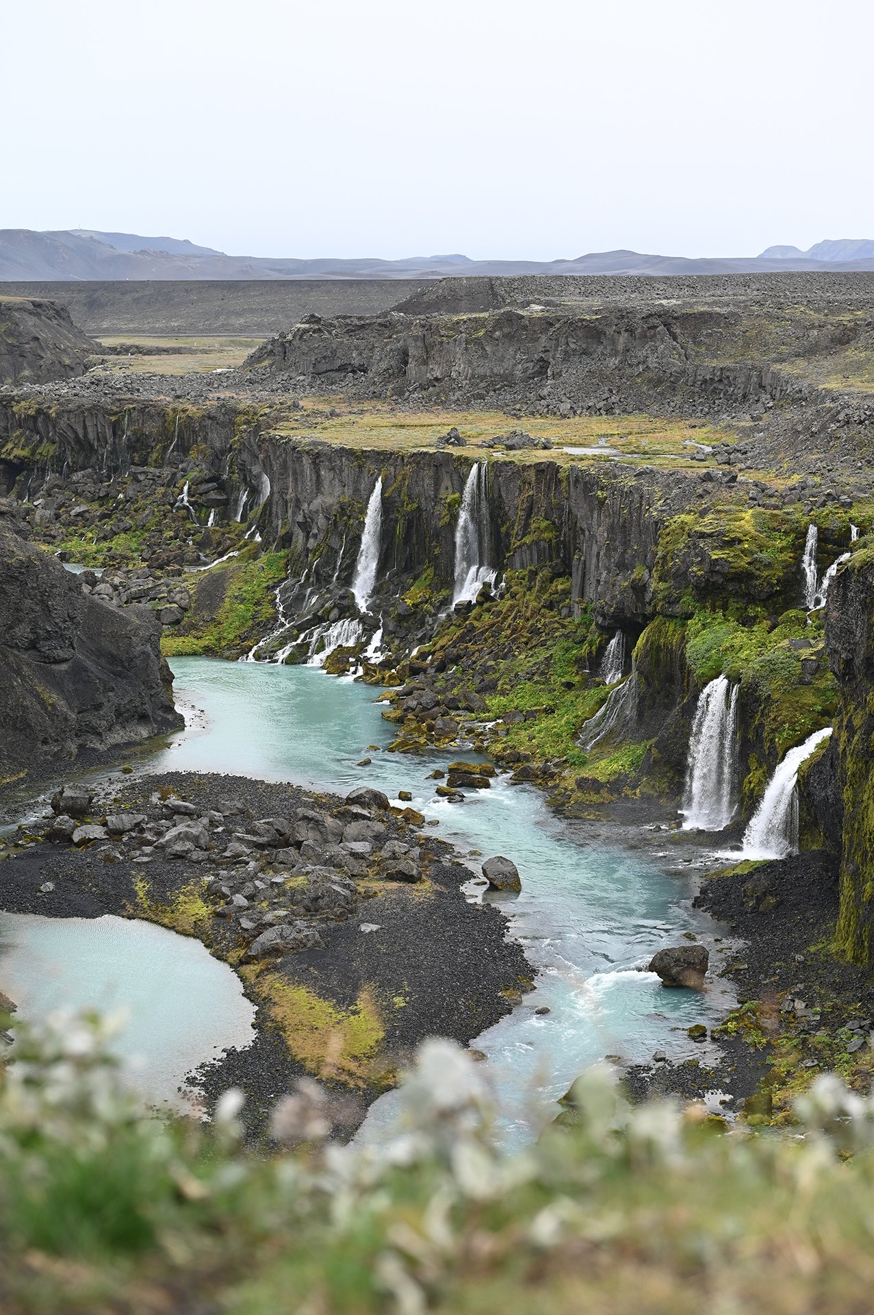 DSC_0972.JPG