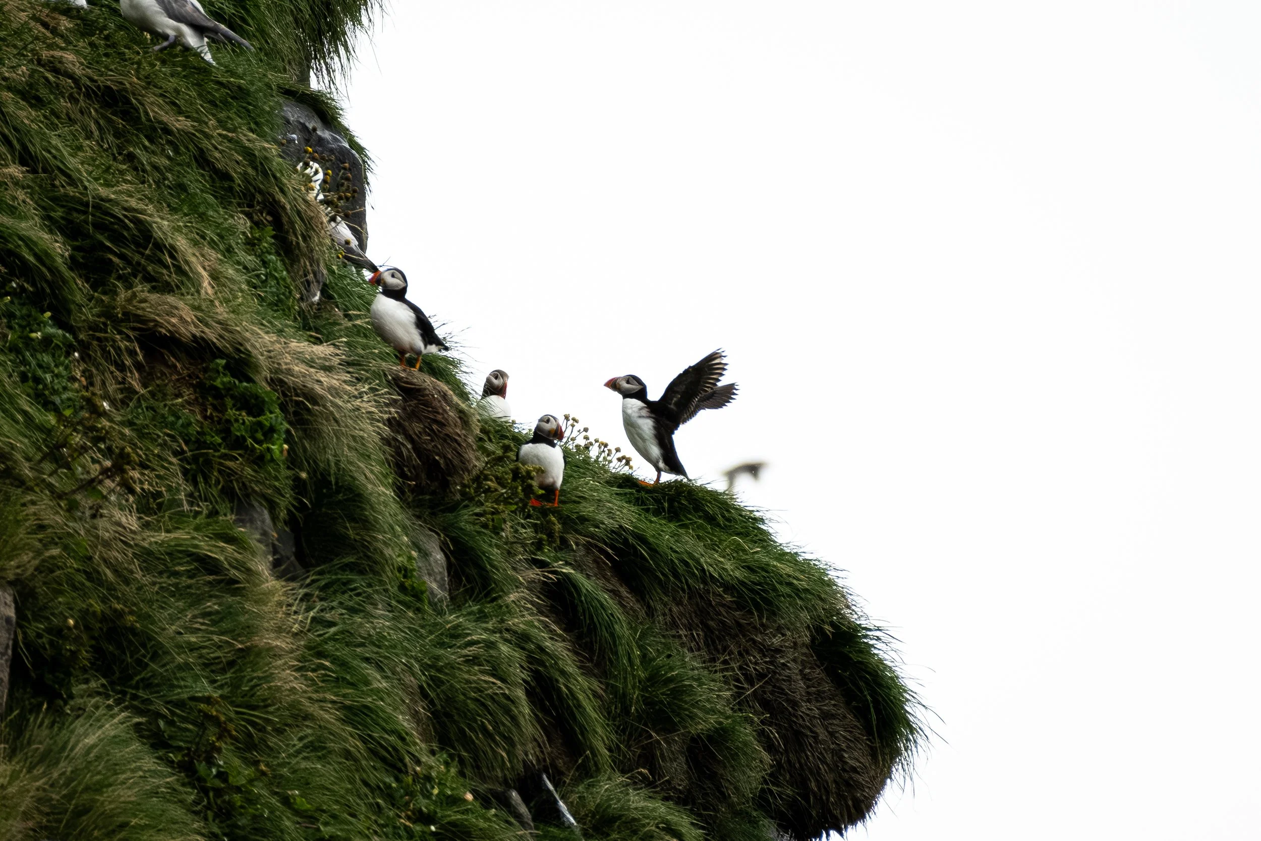 DSC_1551-Enhanced-NR.jpg