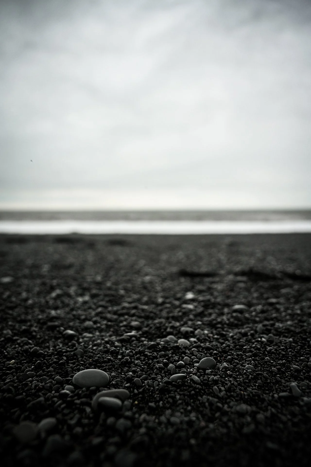 DSC_1547.jpg
