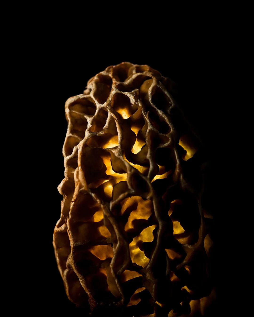 DSC_1035.jpg