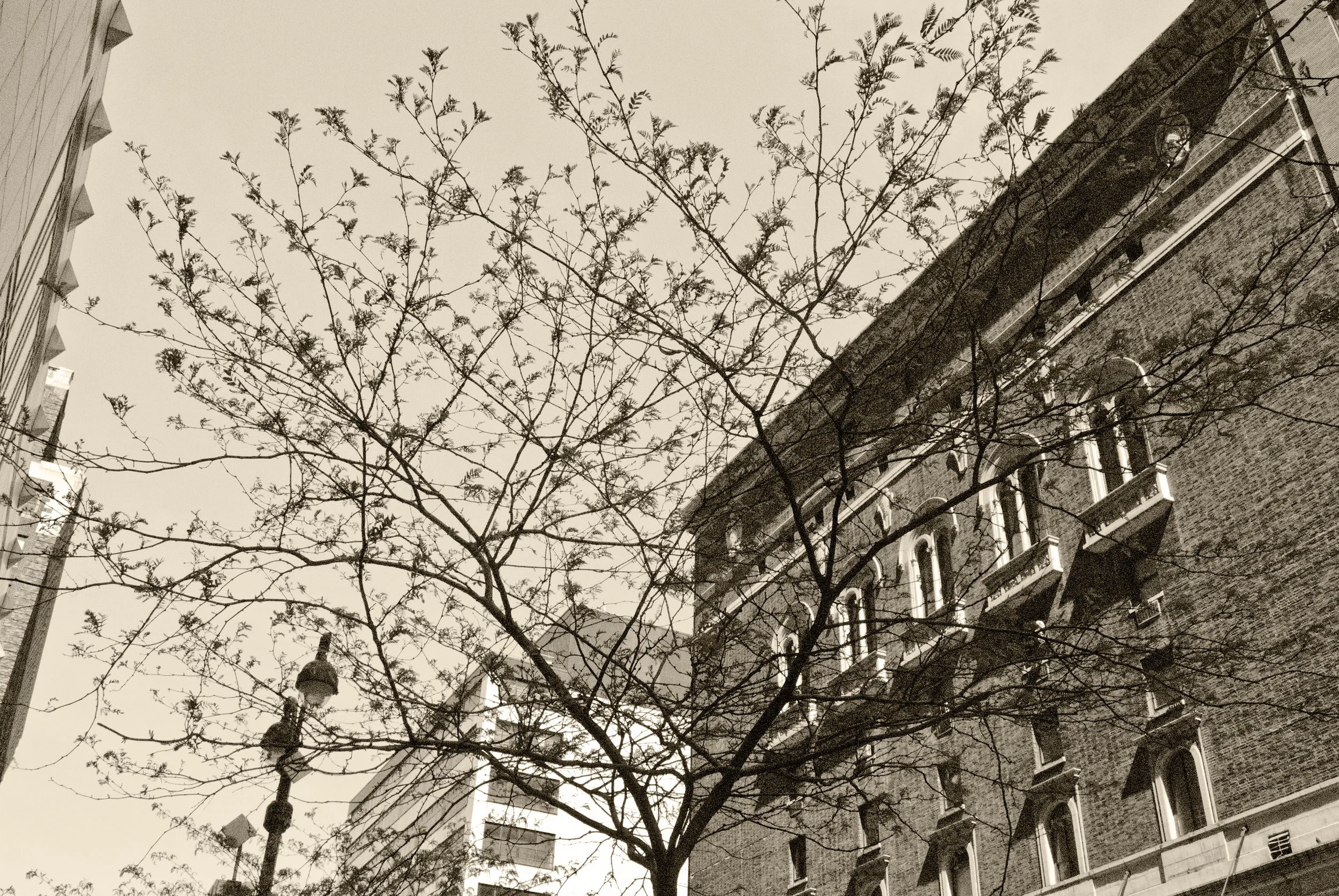 DSC_0143 black and white.jpg