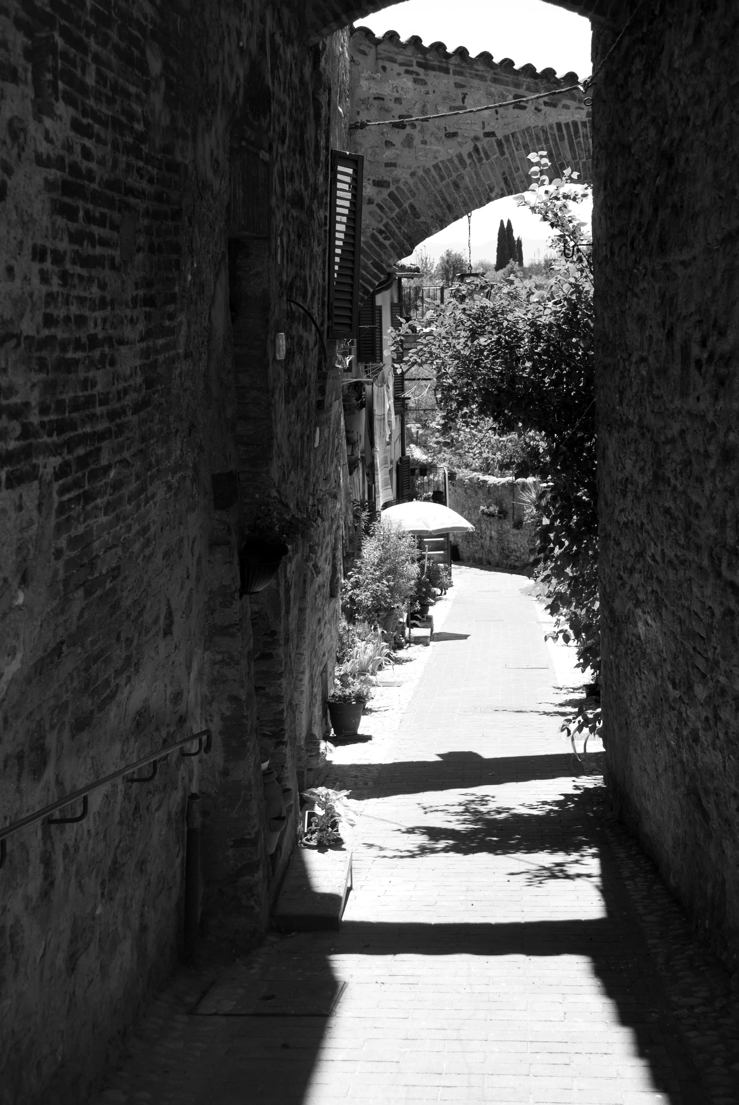 DSC_0686_edit.jpg