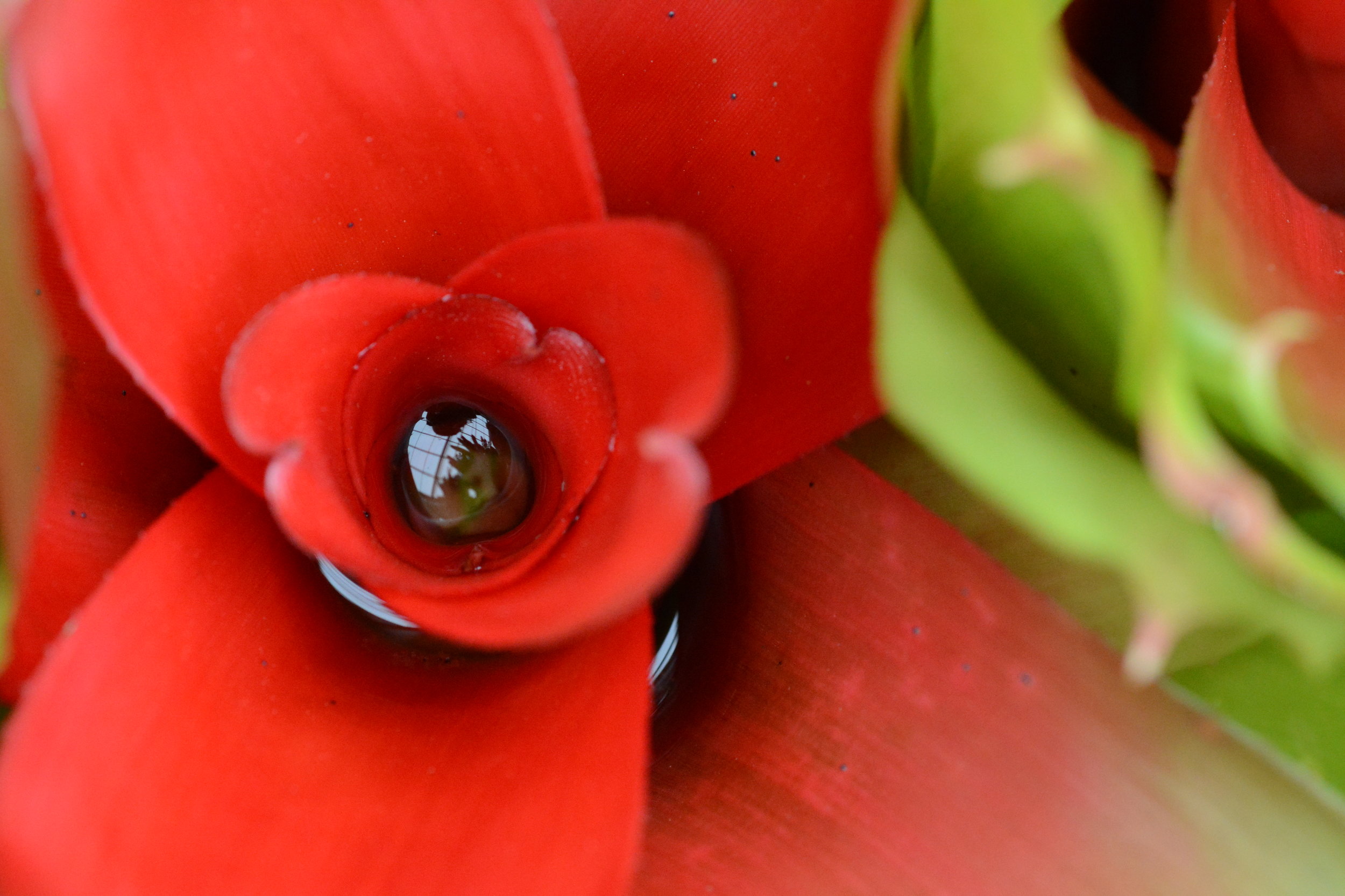 DSC_3871.JPG