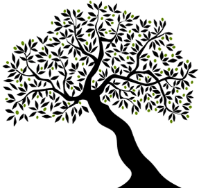 treeGrow.gif