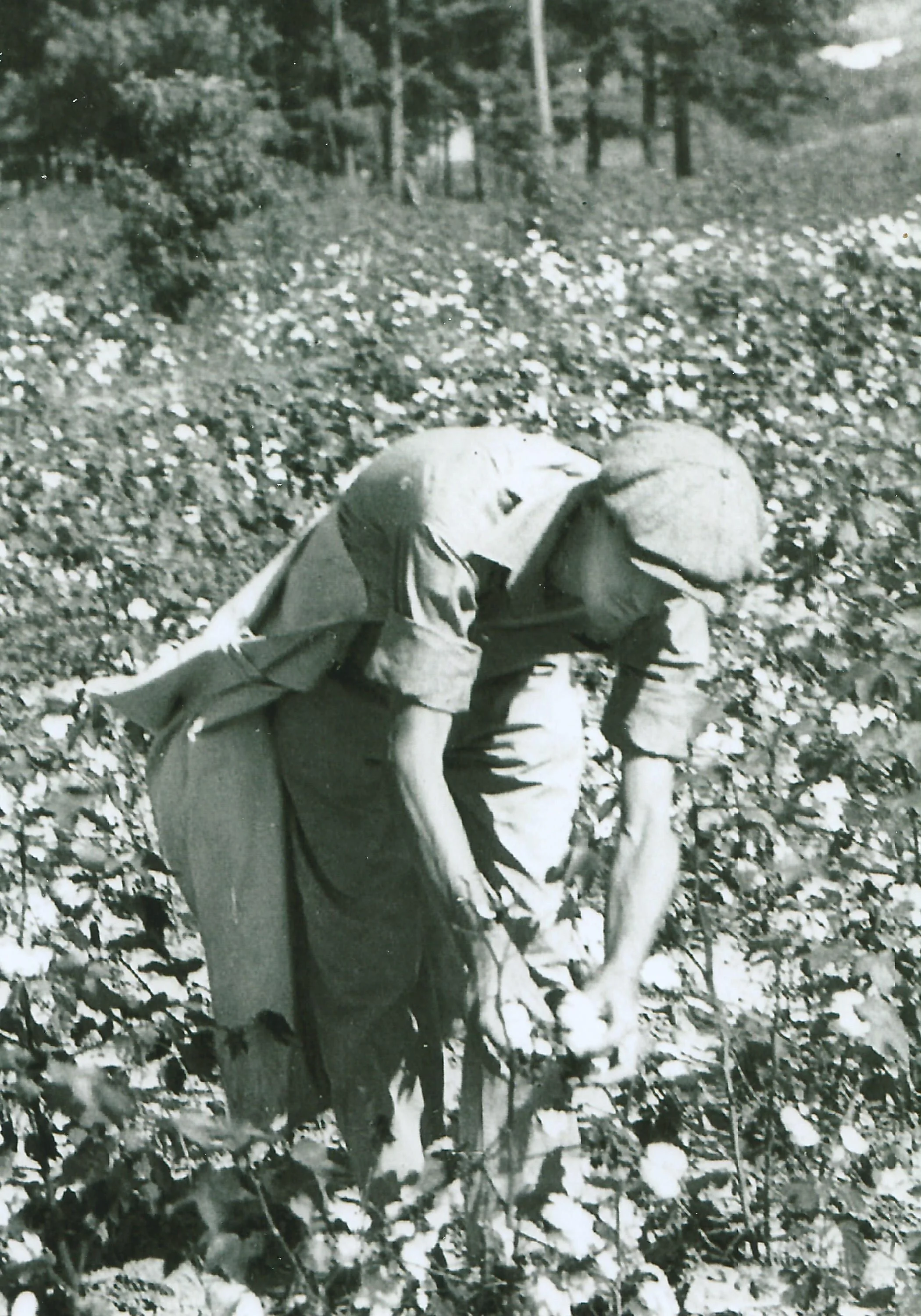 The Importance of Memories