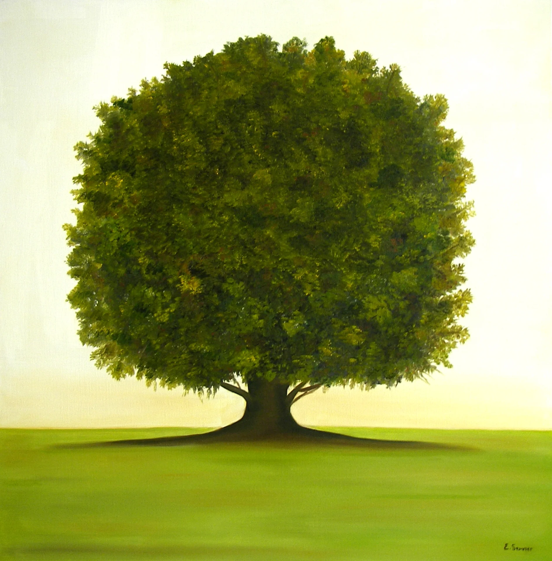 L'arbre de vie / disponible 900 euros
