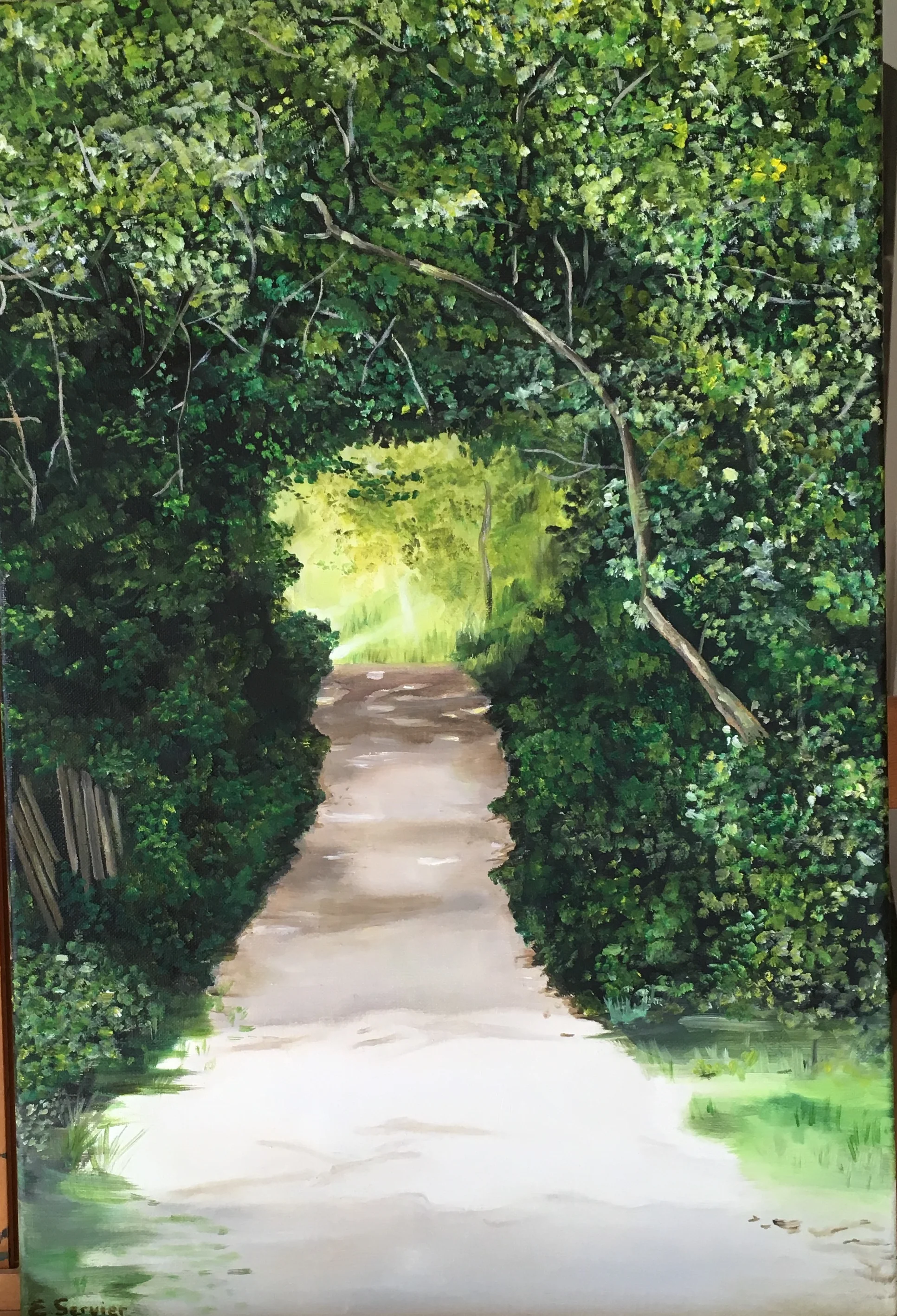 Le chemin / À Vendre 800 euros