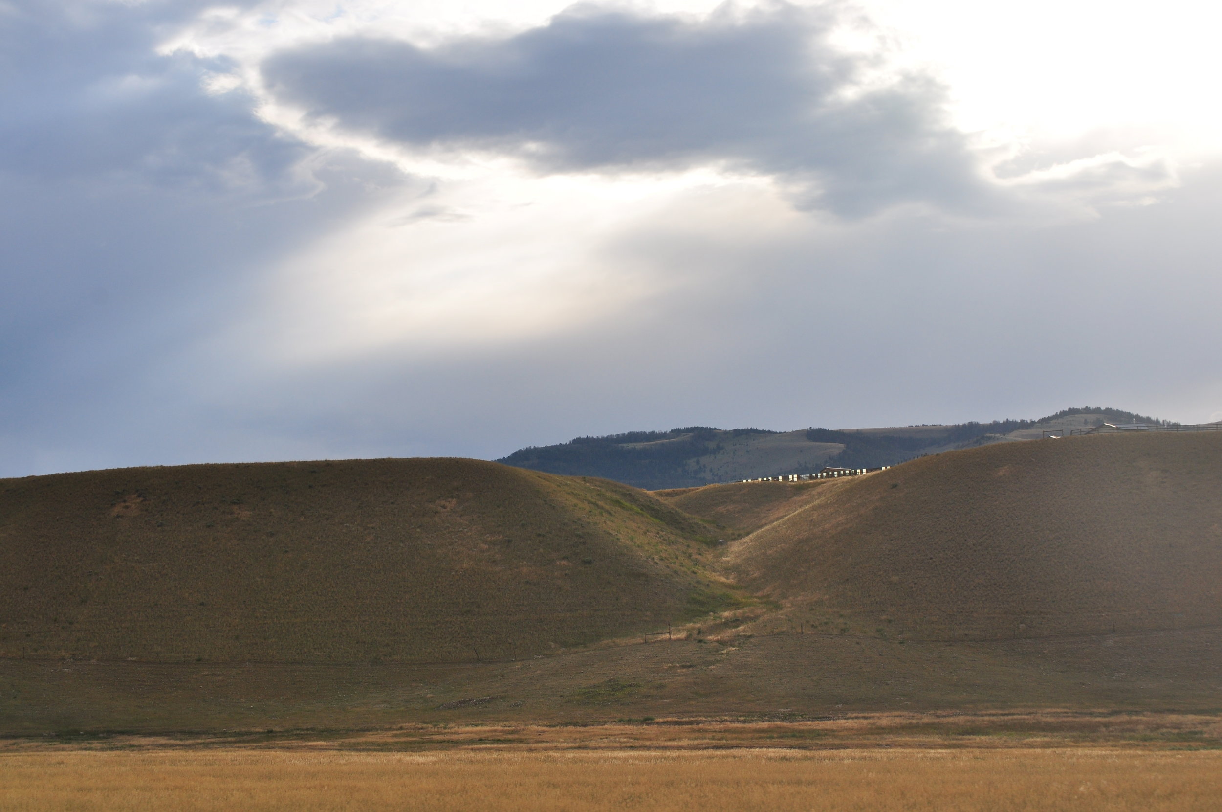 DSC_0989.JPG