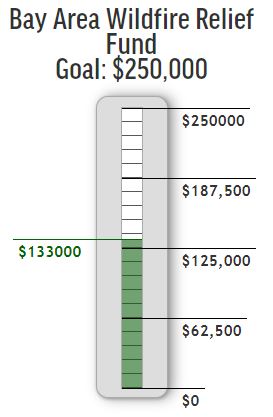 This is what our fundraising thermometer looks like. It shows the total goal at the top, and your progress towards the goal in the green mercury. As donations come in, you can refresh the page and the thermometer will update.