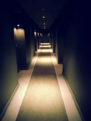 Confronted by a surreal hallway.