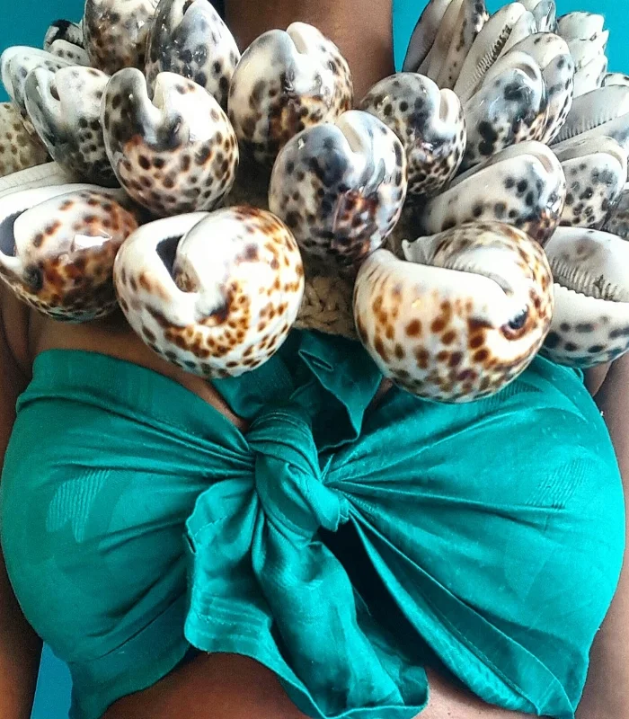 Cowrie Shell Necklace from Papua New Guinea