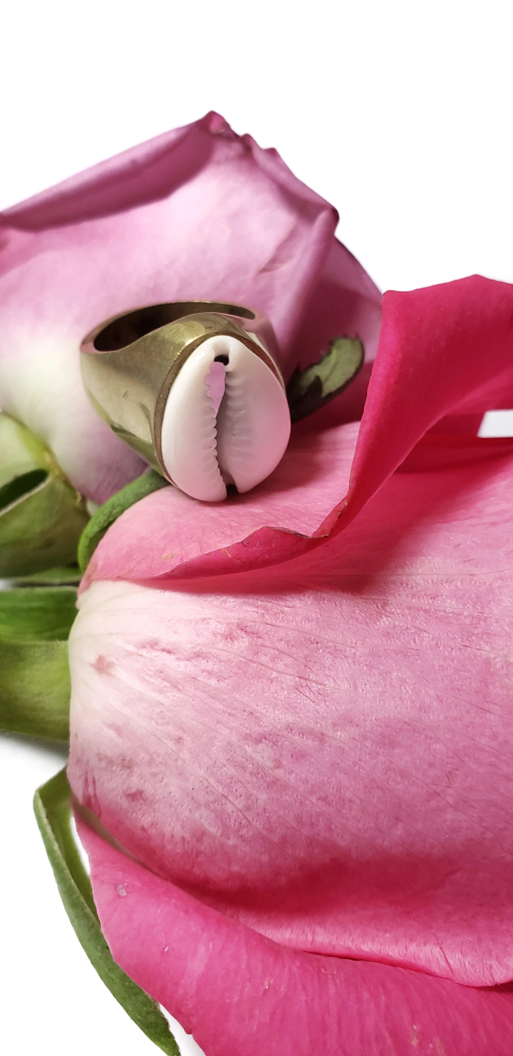 Buy Cowrie Shell Ring