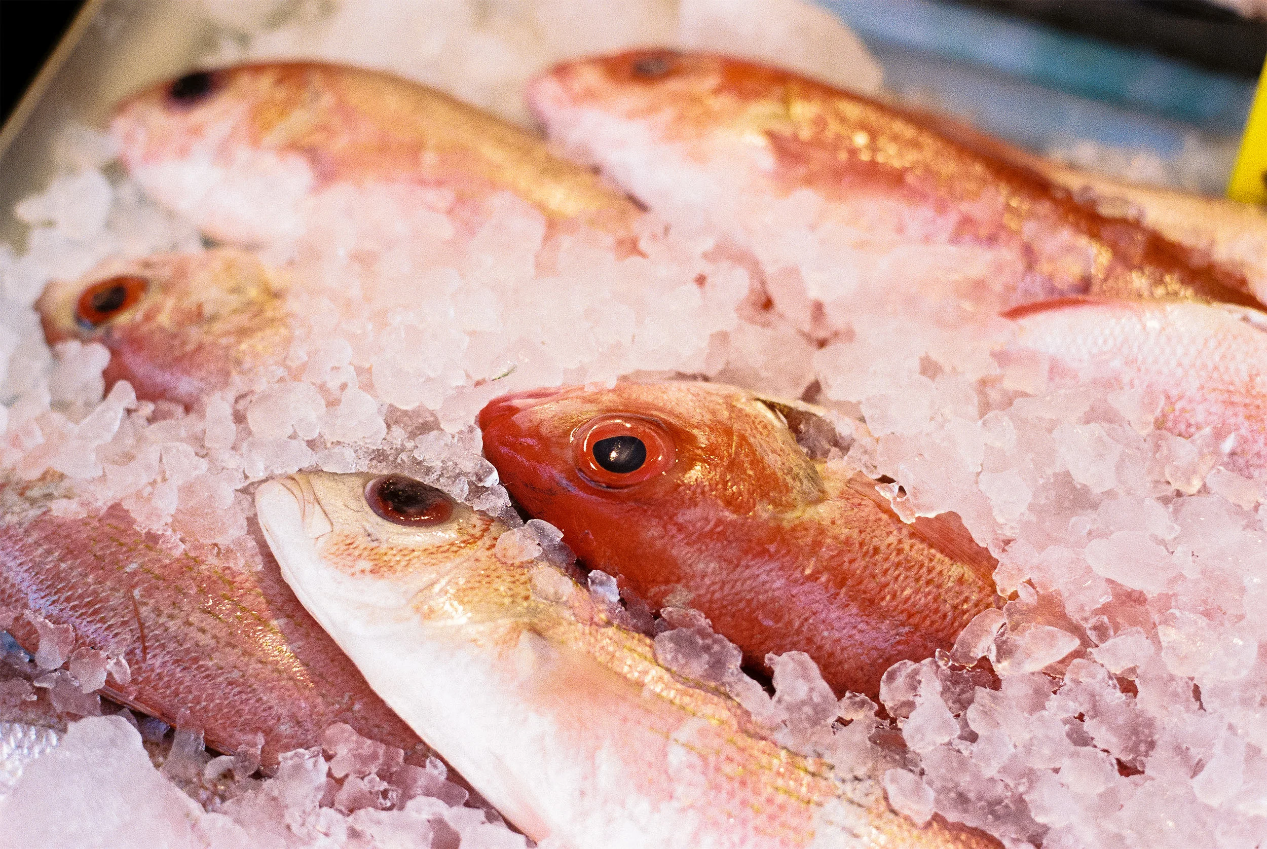 20160909-5211193808-R1-040-18A copy.jpg