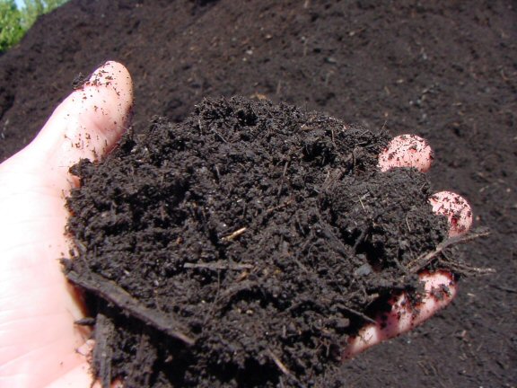 compost.jpeg