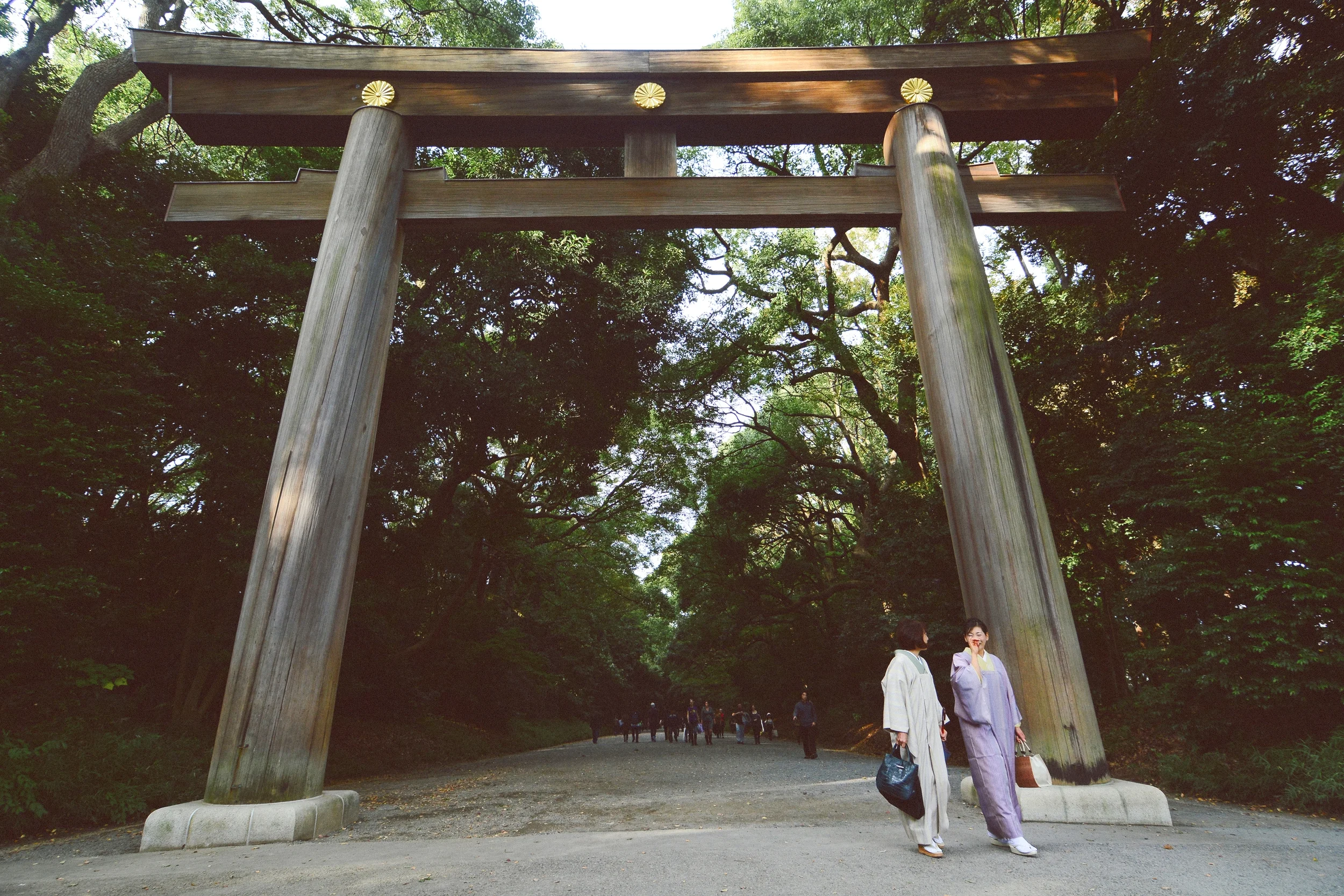  Gates to the Meiji Jingu shrine 