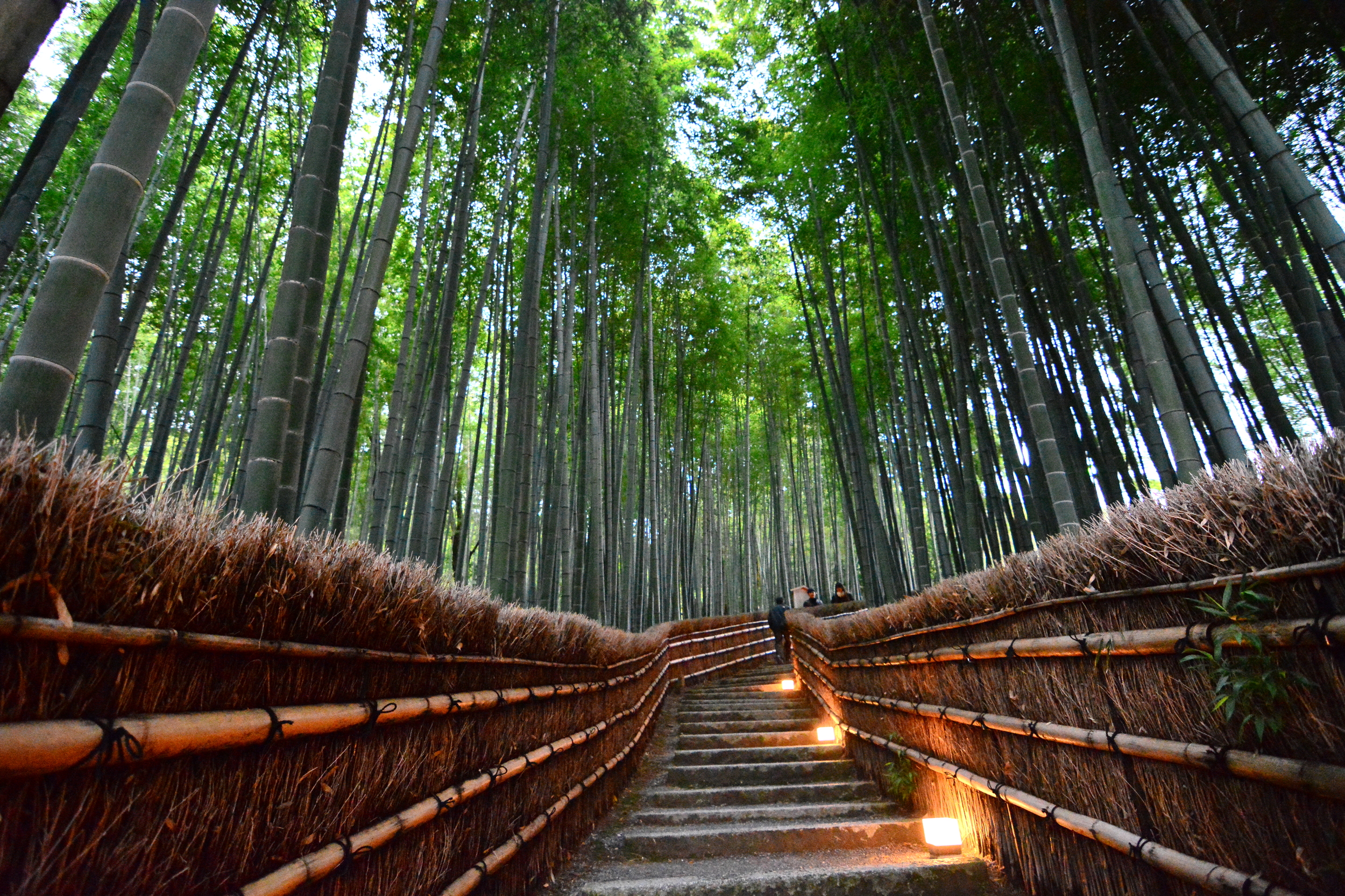 Arashiyama